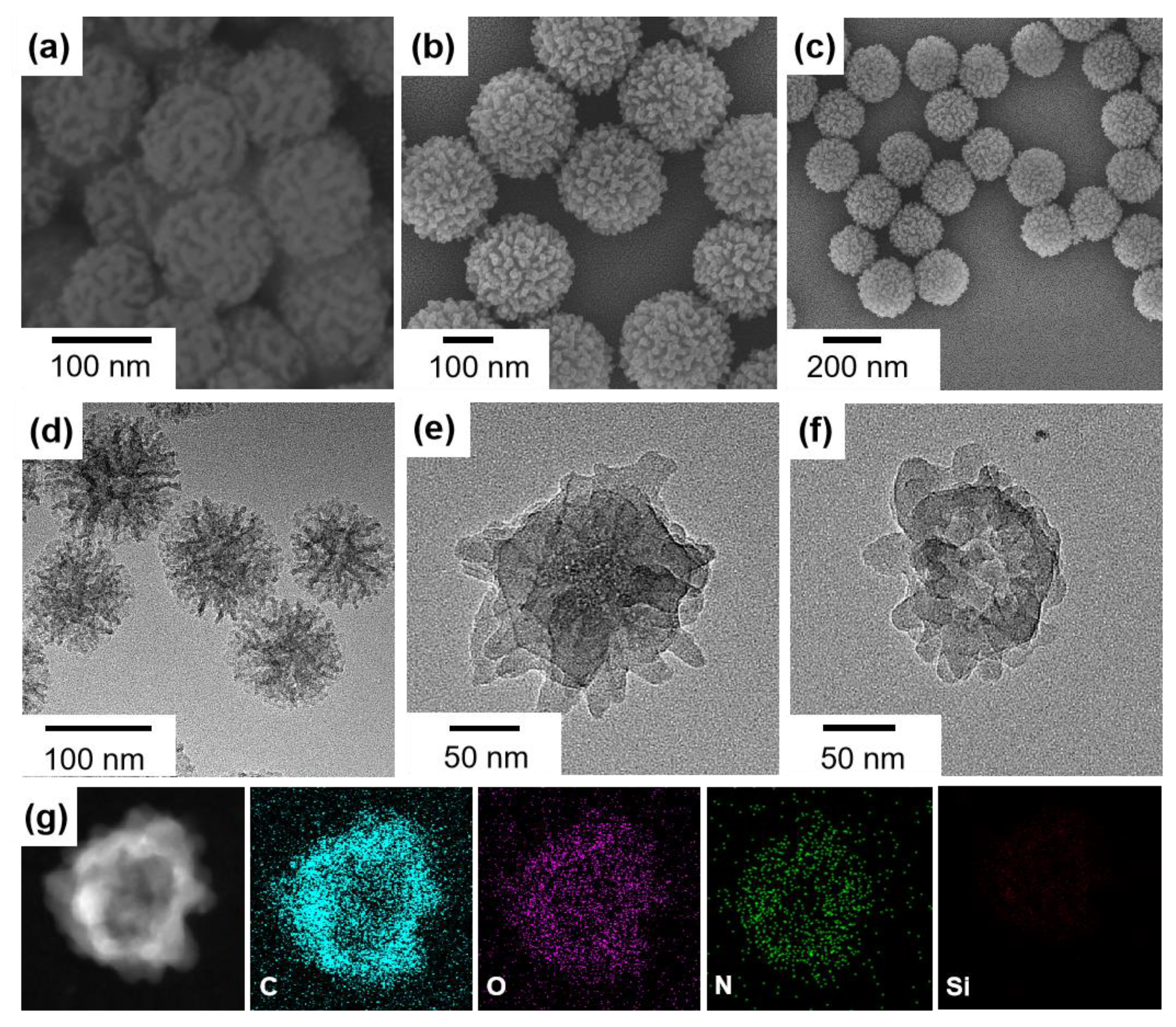 Nanomaterials 12 03055 g002