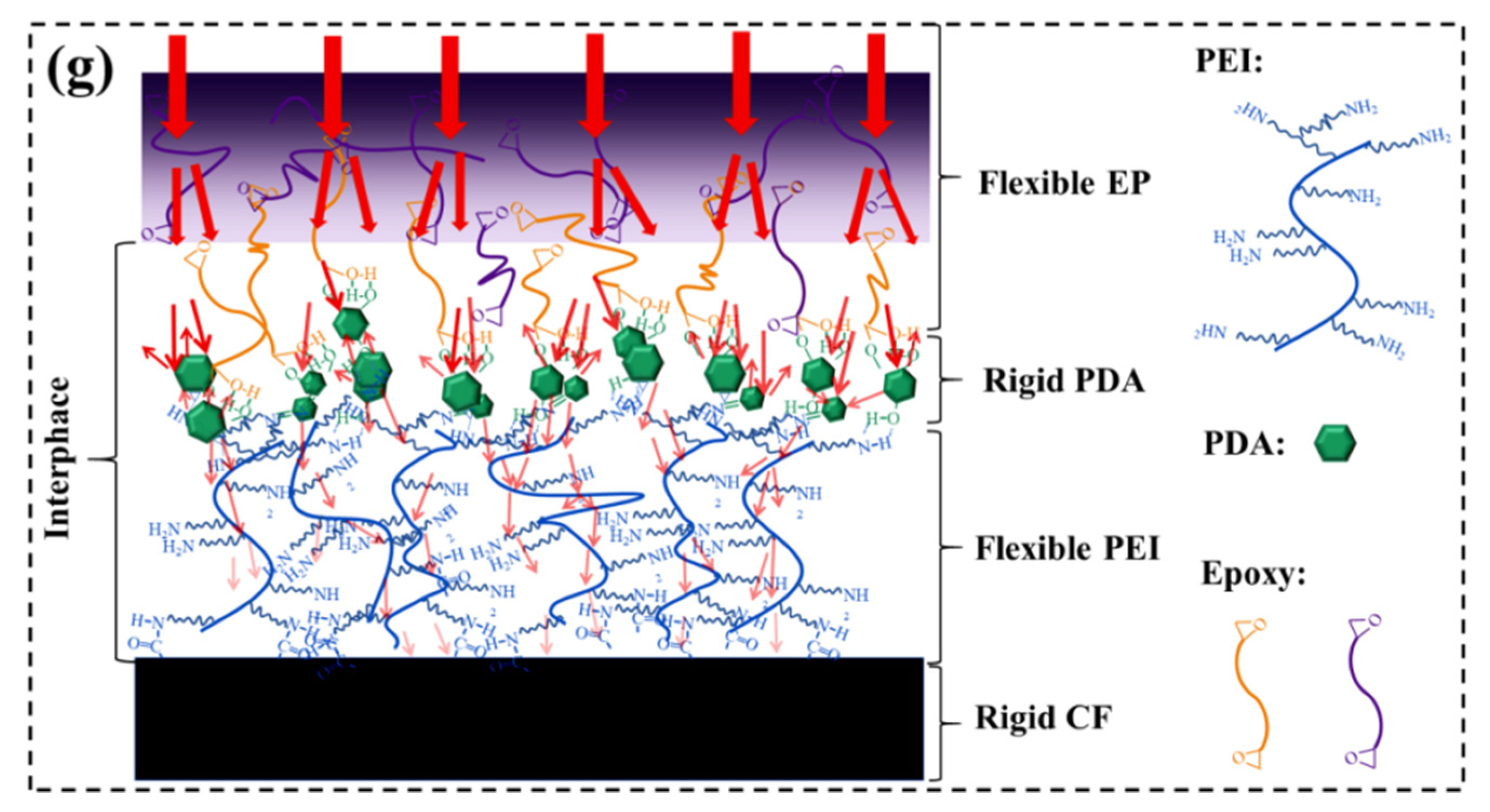 Nanomaterials 12 03056 g007b 550