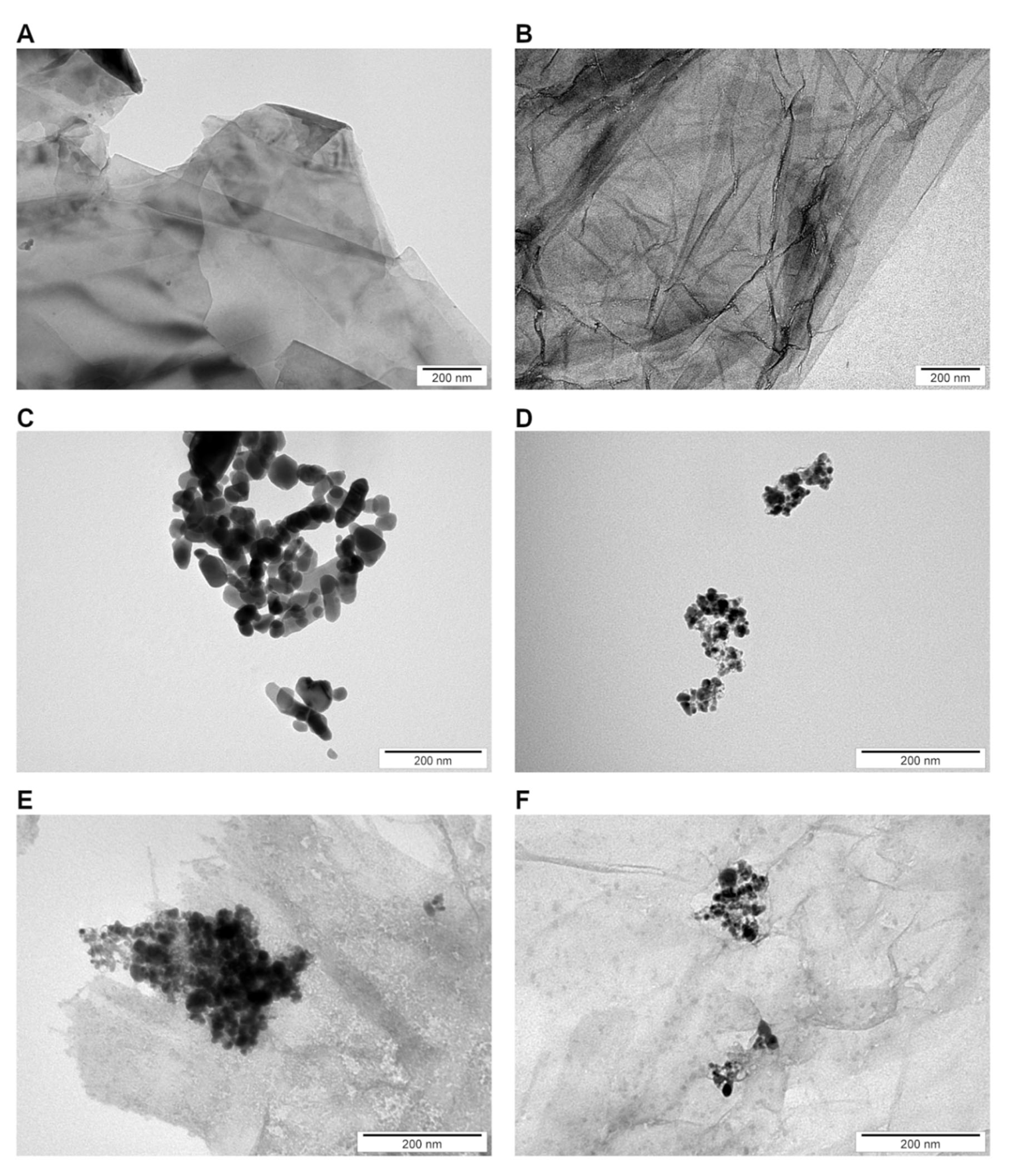 Nanomaterials 12 03058 g002 550