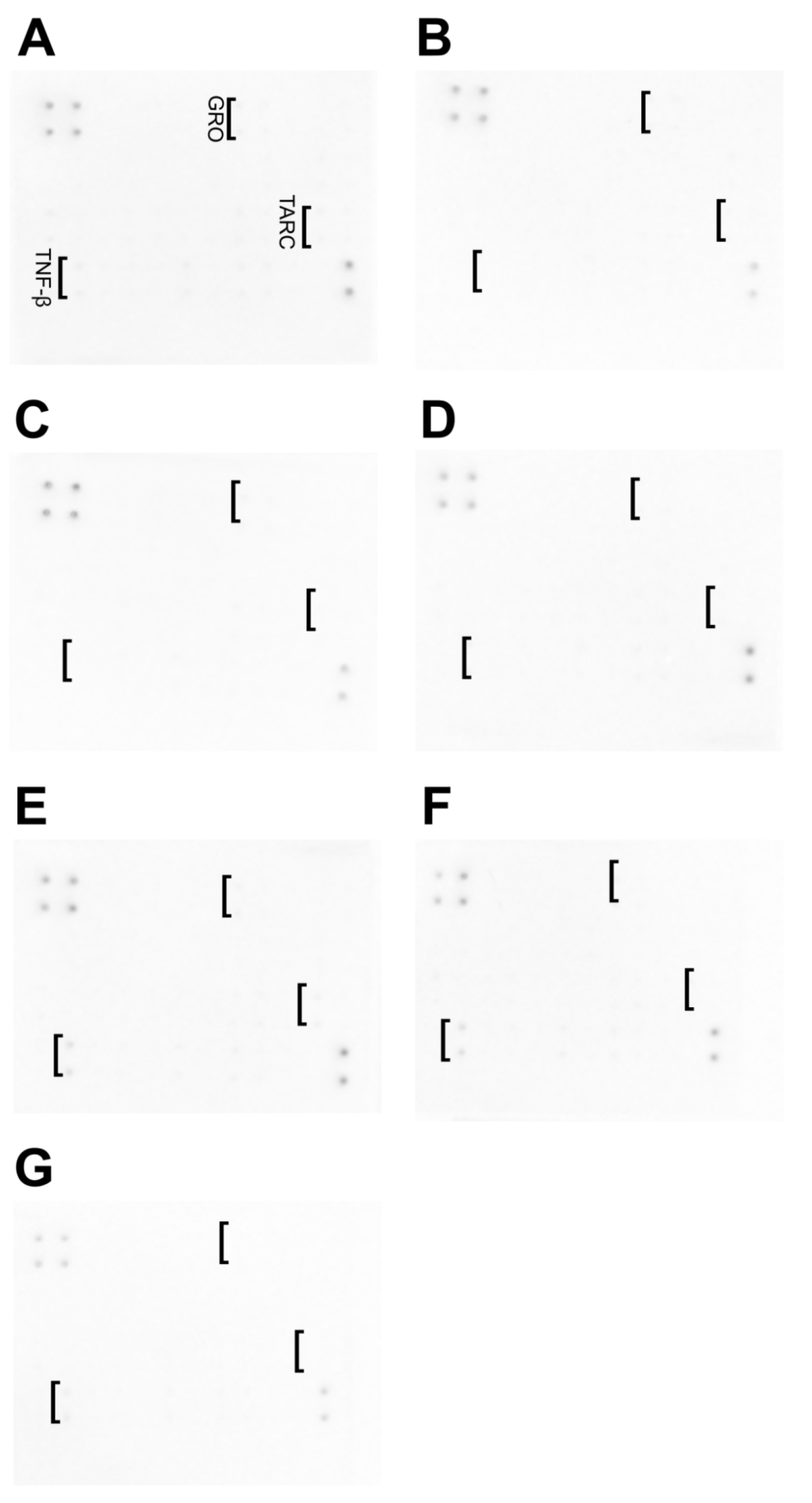 Nanomaterials 12 03058 g010 550