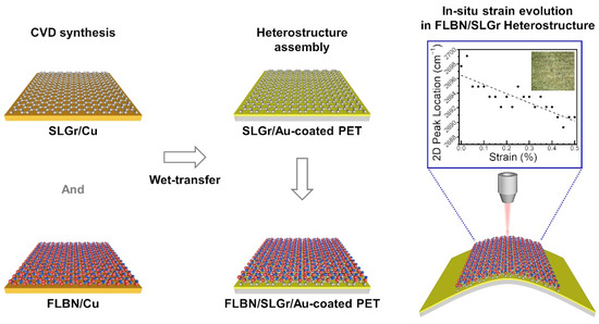 In Situ Measurements of Strain Evolution in Graphene/Boron
