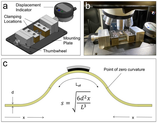 In Situ Measurements of Strain Evolution in Graphene/Boron