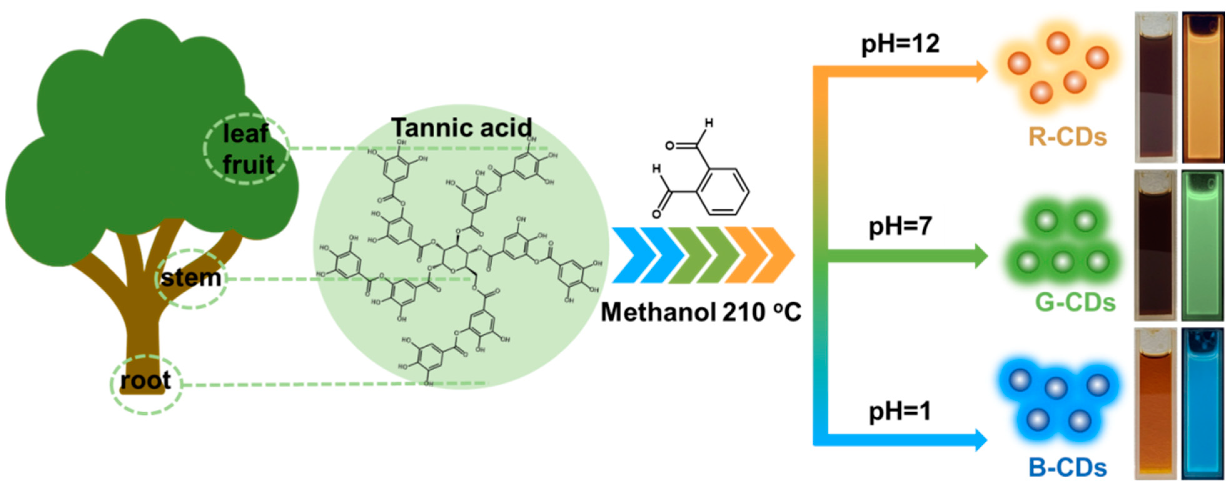Nanomaterials 12 03062 g001 550