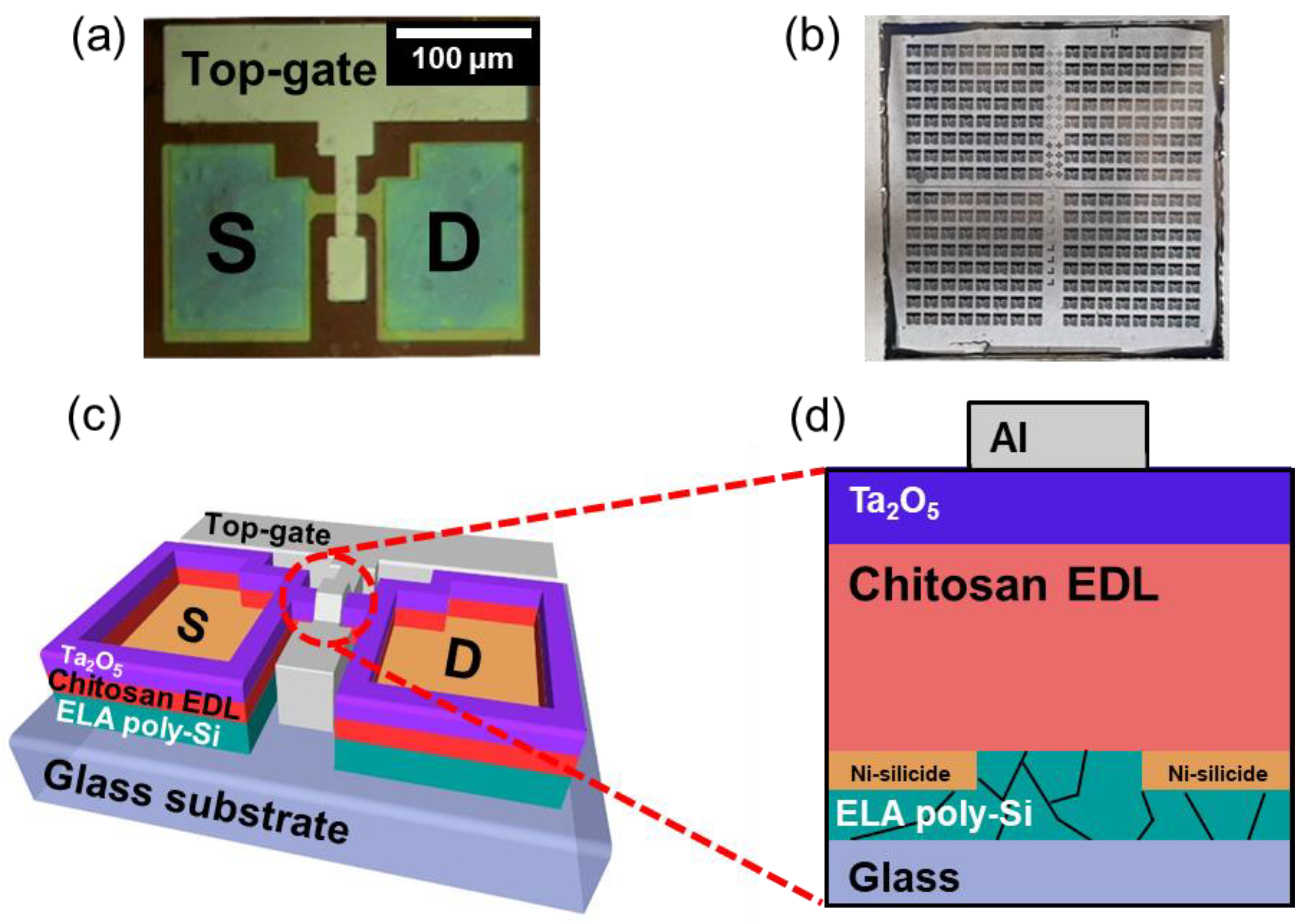 Nanomaterials 12 03063 g001