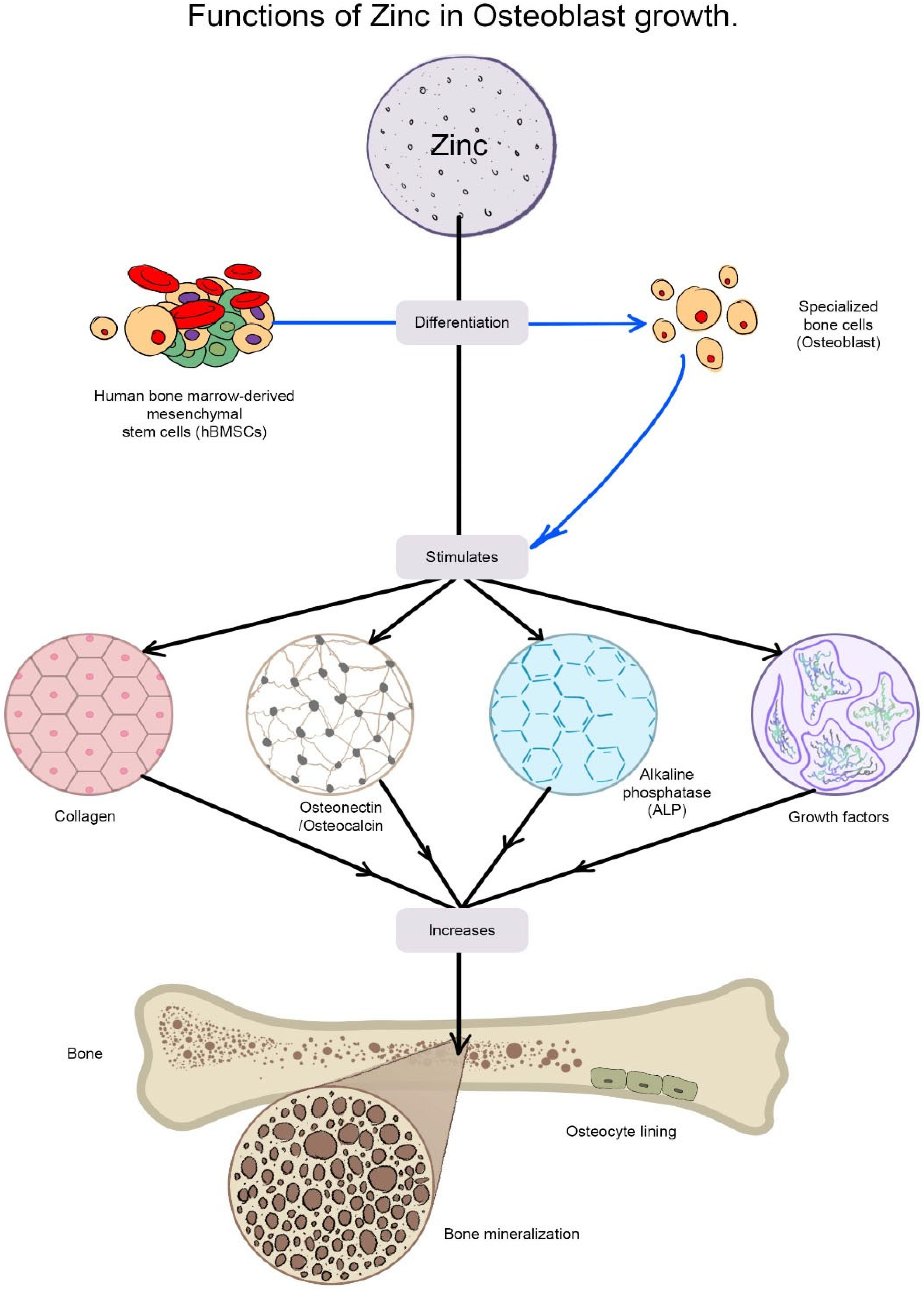 Nanomaterials 12 03066 g006 Nanomaterials 12 03066 g006