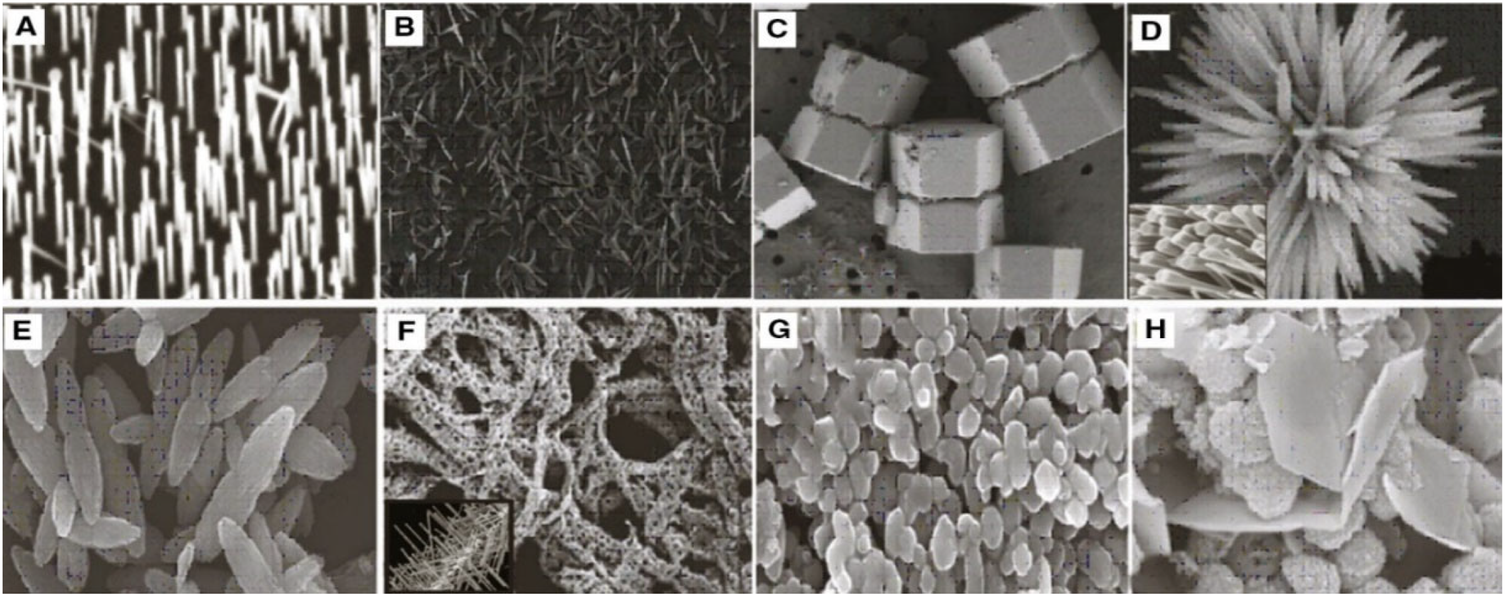 Nanomaterials 12 03066 g008 Nanomaterials 12 03066 g008
