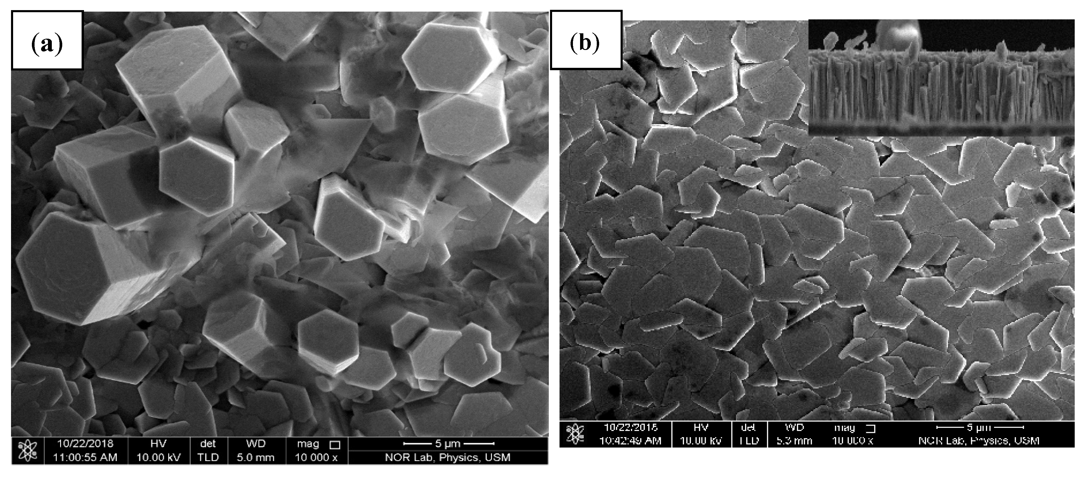 Nanomaterials 12 03068 g003a 550
