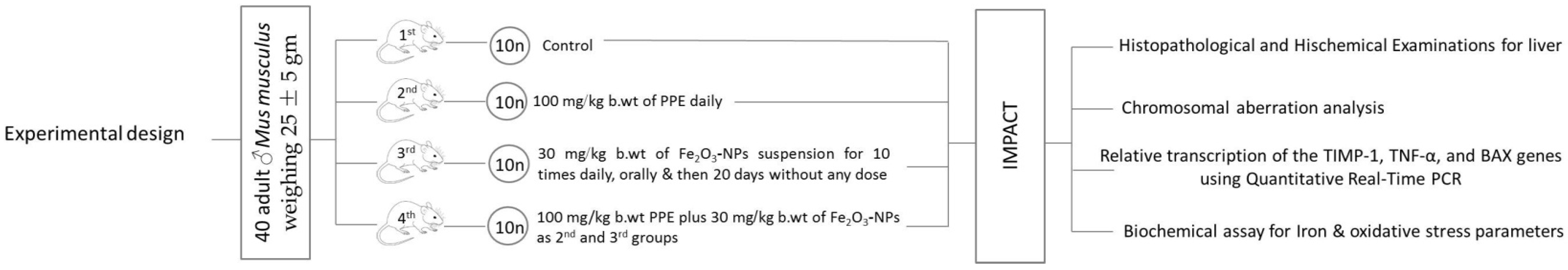 Nanomaterials 12 03074 g001 Nanomaterials 12 03074 g001