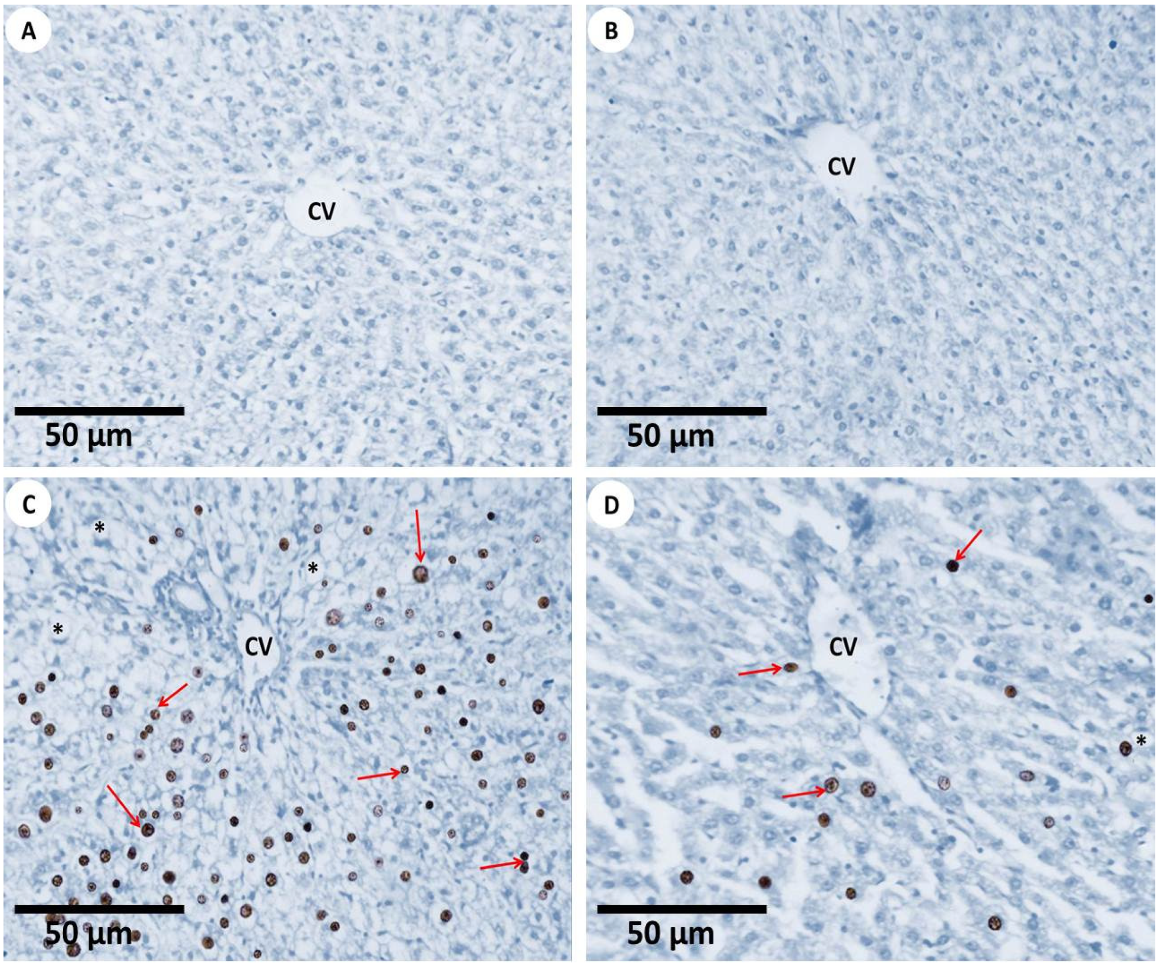 Nanomaterials 12 03074 g007 Nanomaterials 12 03074 g007