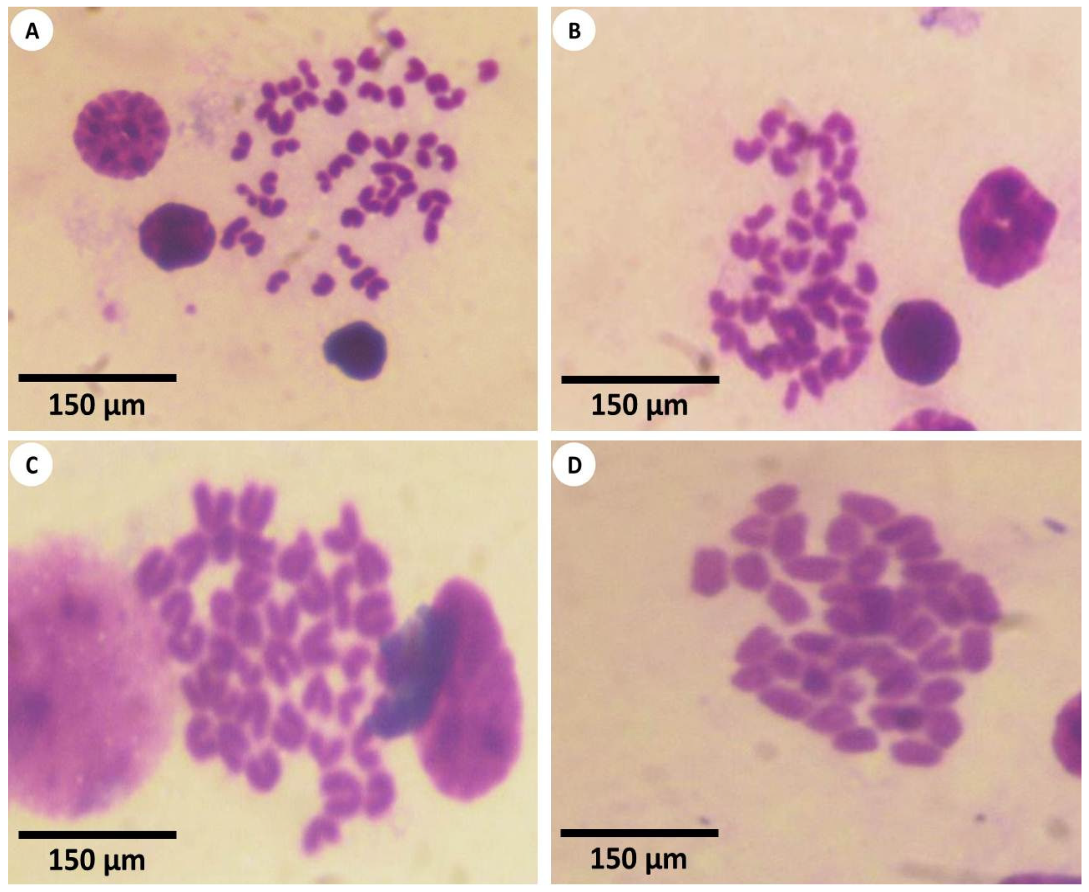 Nanomaterials 12 03074 g010 Nanomaterials 12 03074 g010