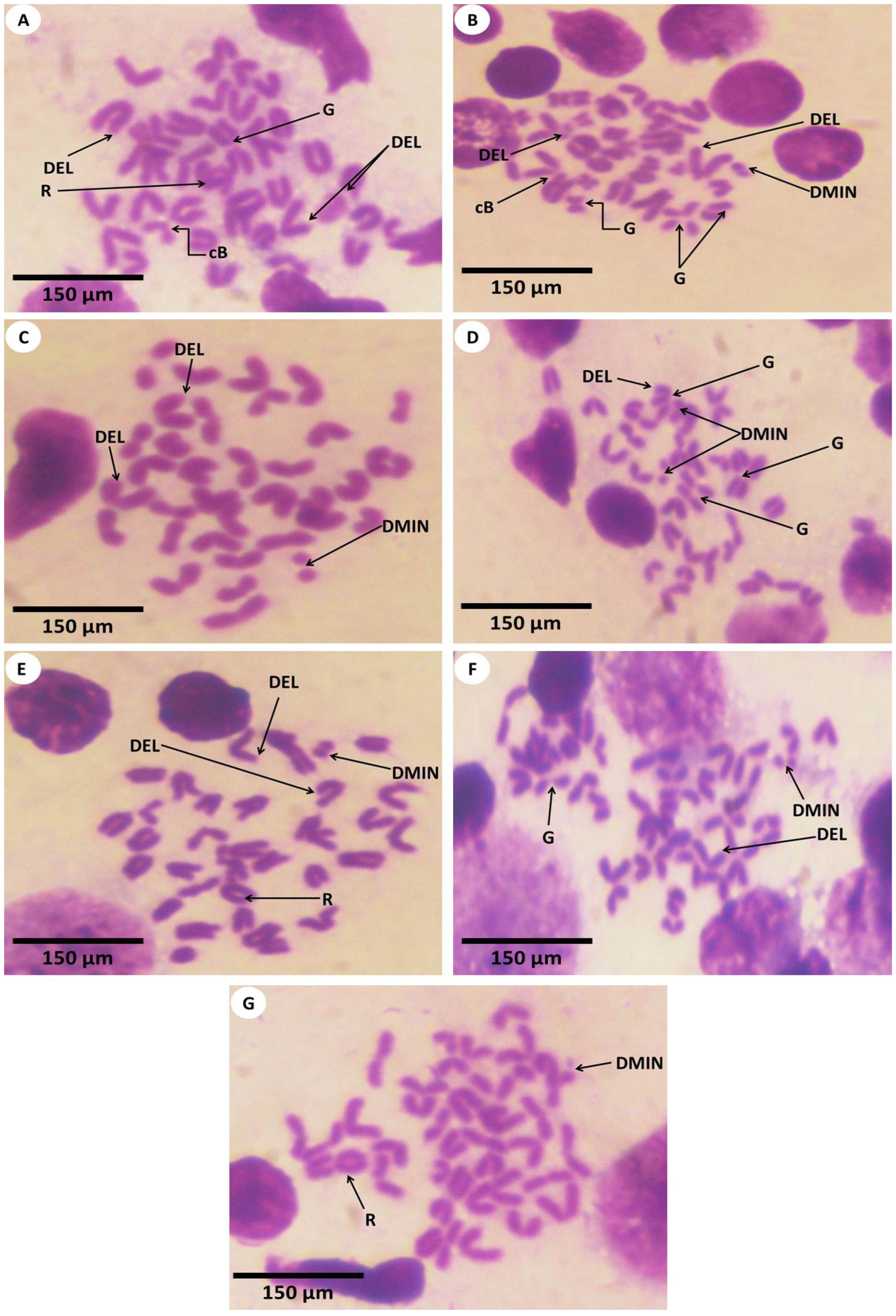 Nanomaterials 12 03074 g011 Nanomaterials 12 03074 g011