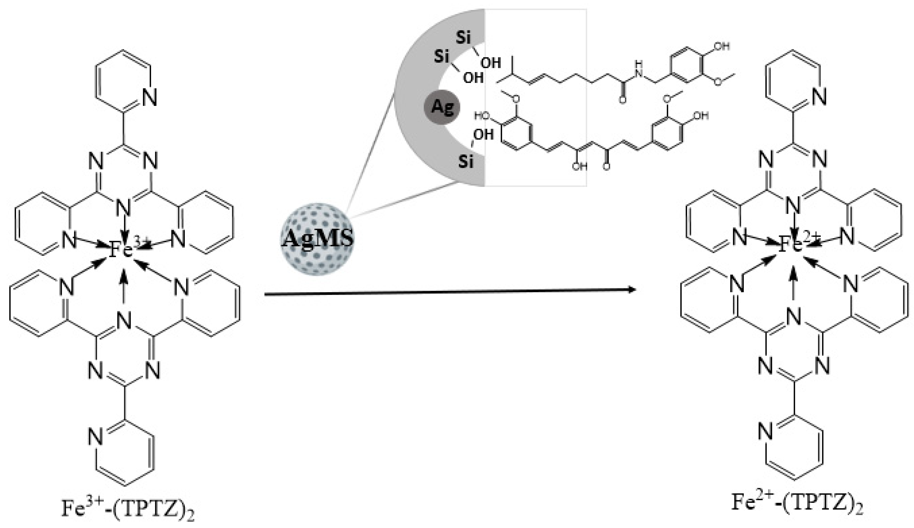 Nanomaterials Free FullText Curcumin and CapsaicinLoaded Ag