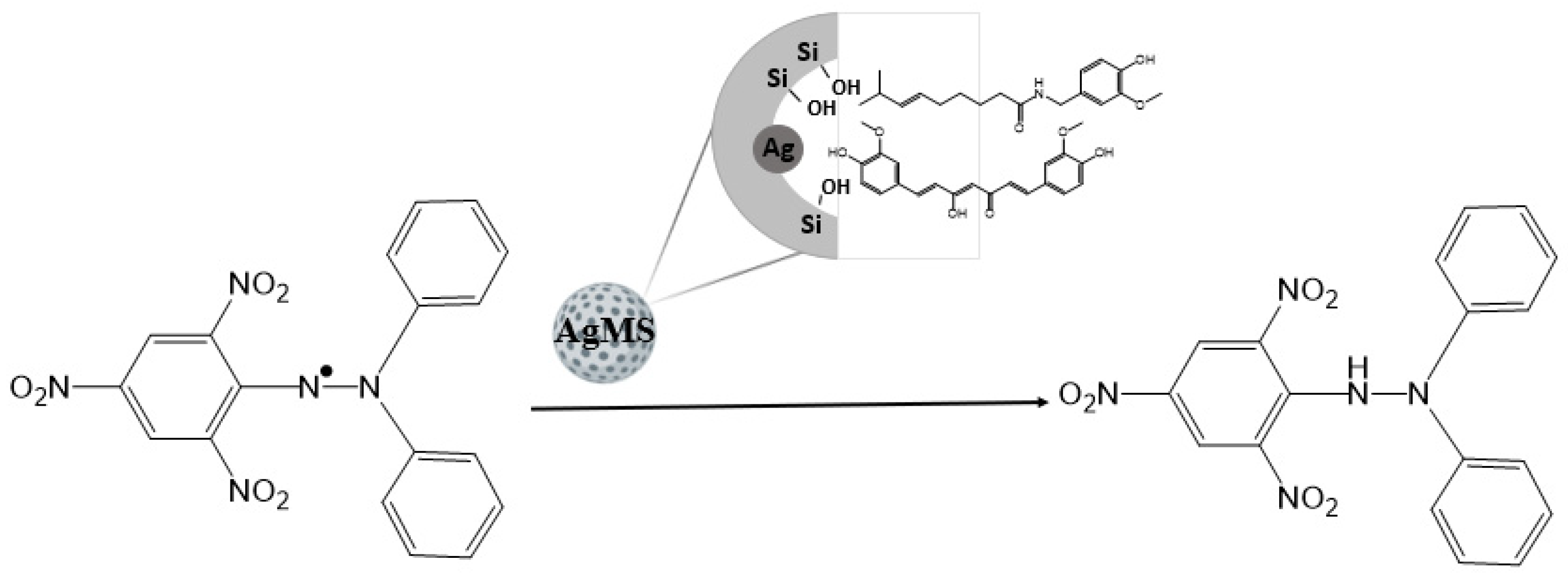 Nanomaterials Free FullText Curcumin and CapsaicinLoaded Ag