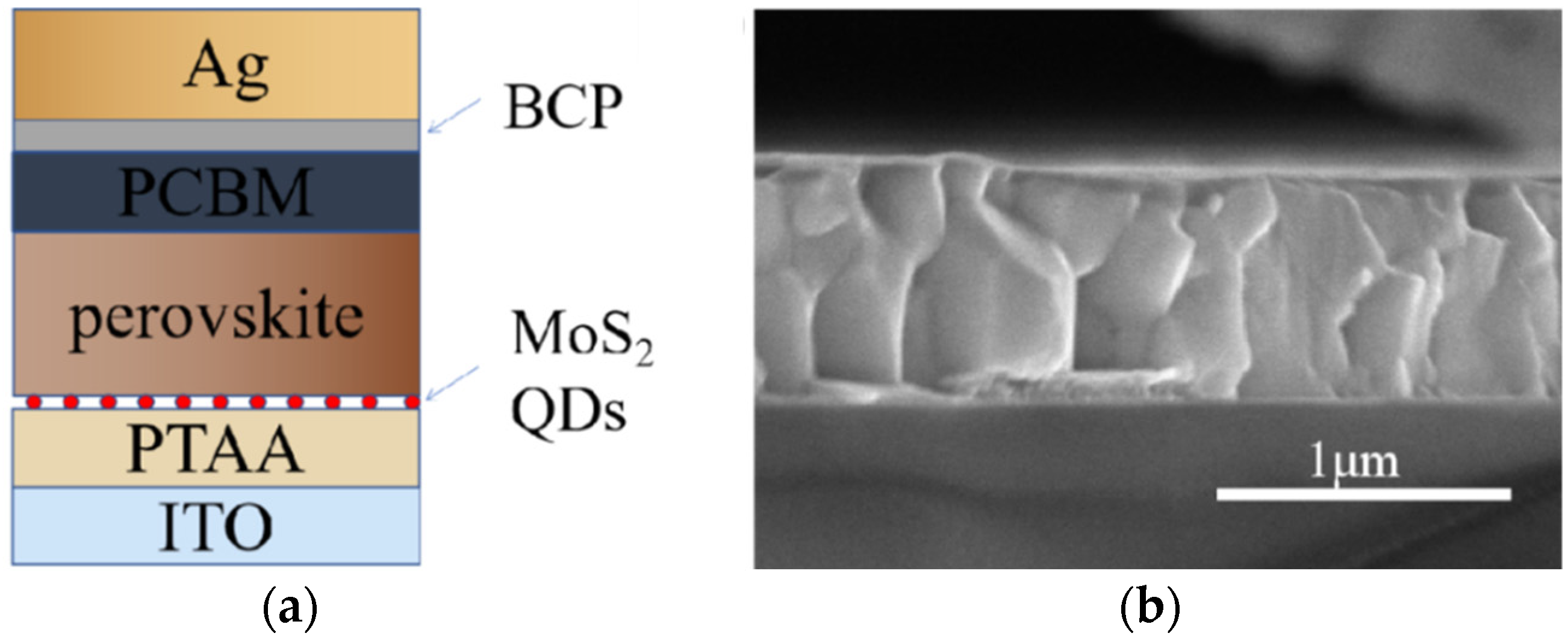 Nanomaterials 12 03079 g006