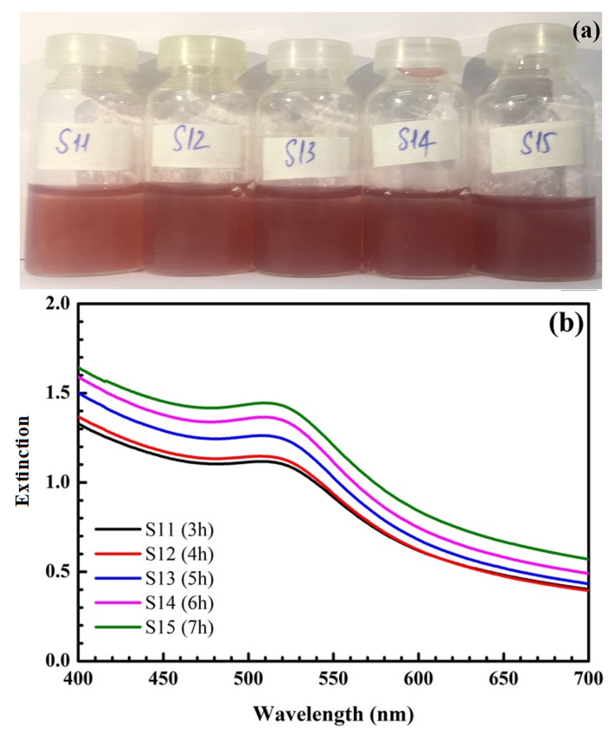 Nanomaterials 12 03080 g002a