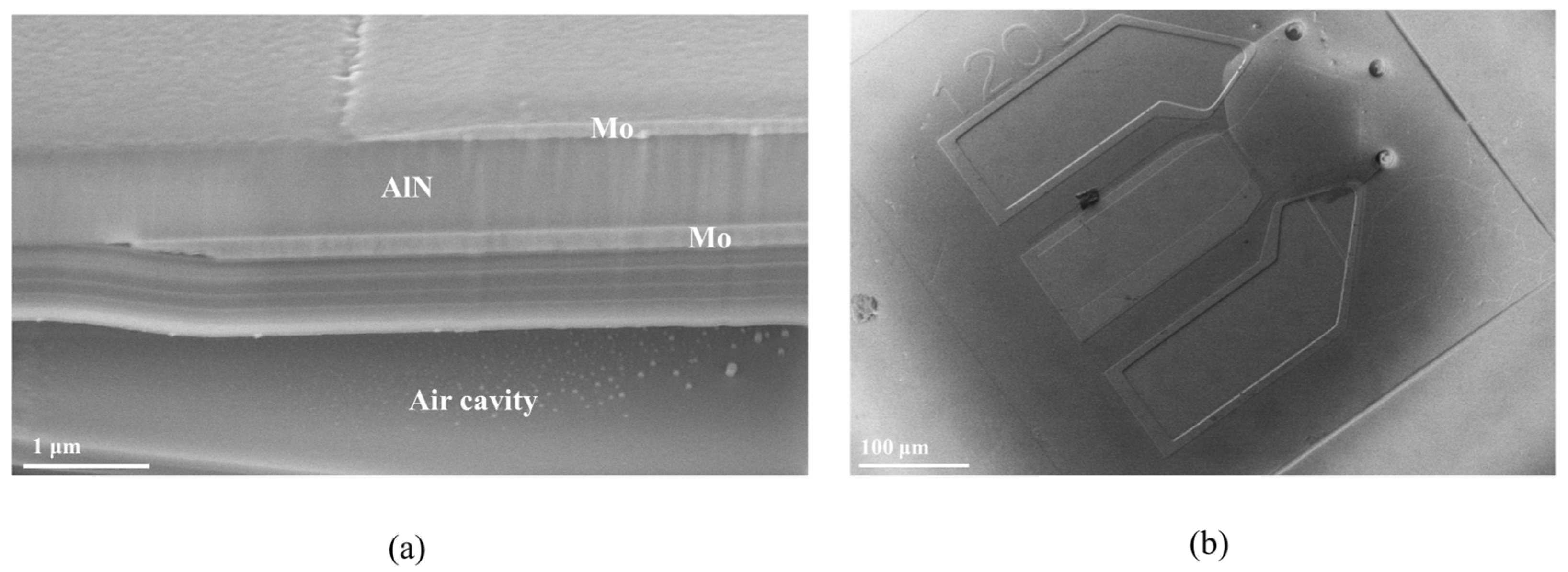 Nanomaterials 12 03082 g003