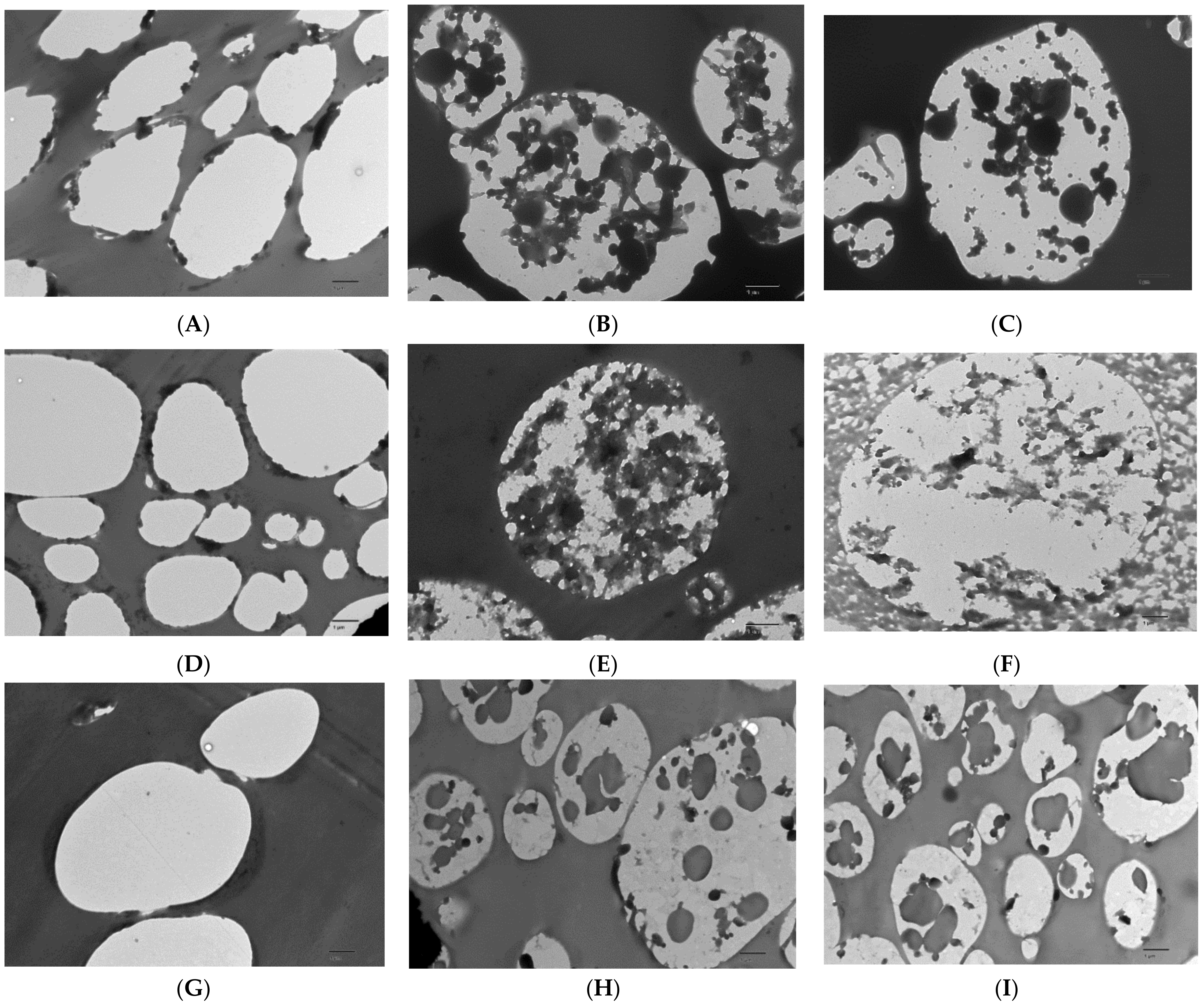 Nanomaterials 12 03096 g002