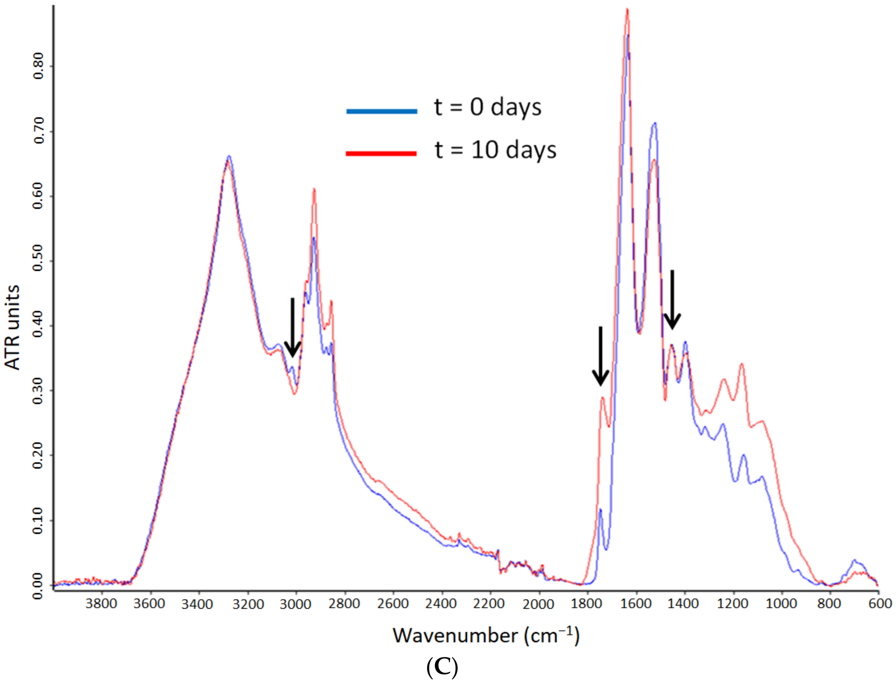 Nanomaterials 12 03096 g007b
