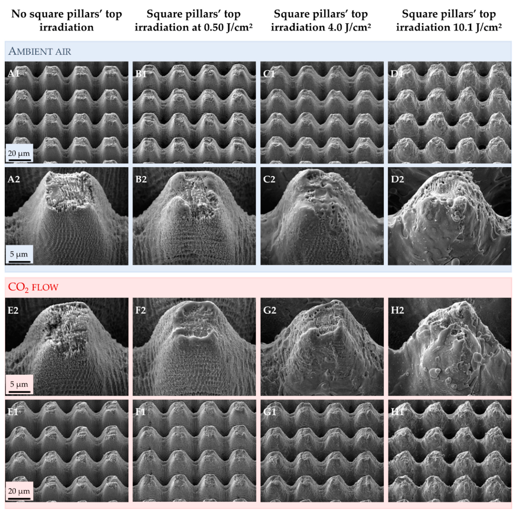 Nanomaterials 12 03099 g006