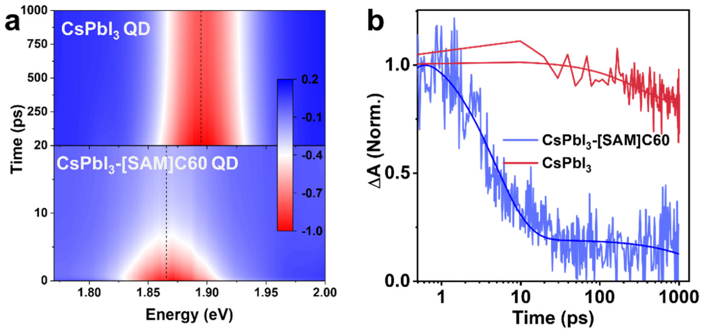 Nanomaterials 12 03101 g004