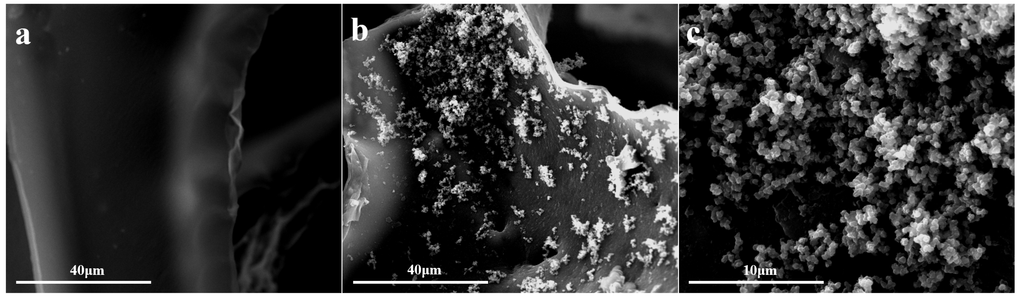 Nanomaterials 12 03120 g001