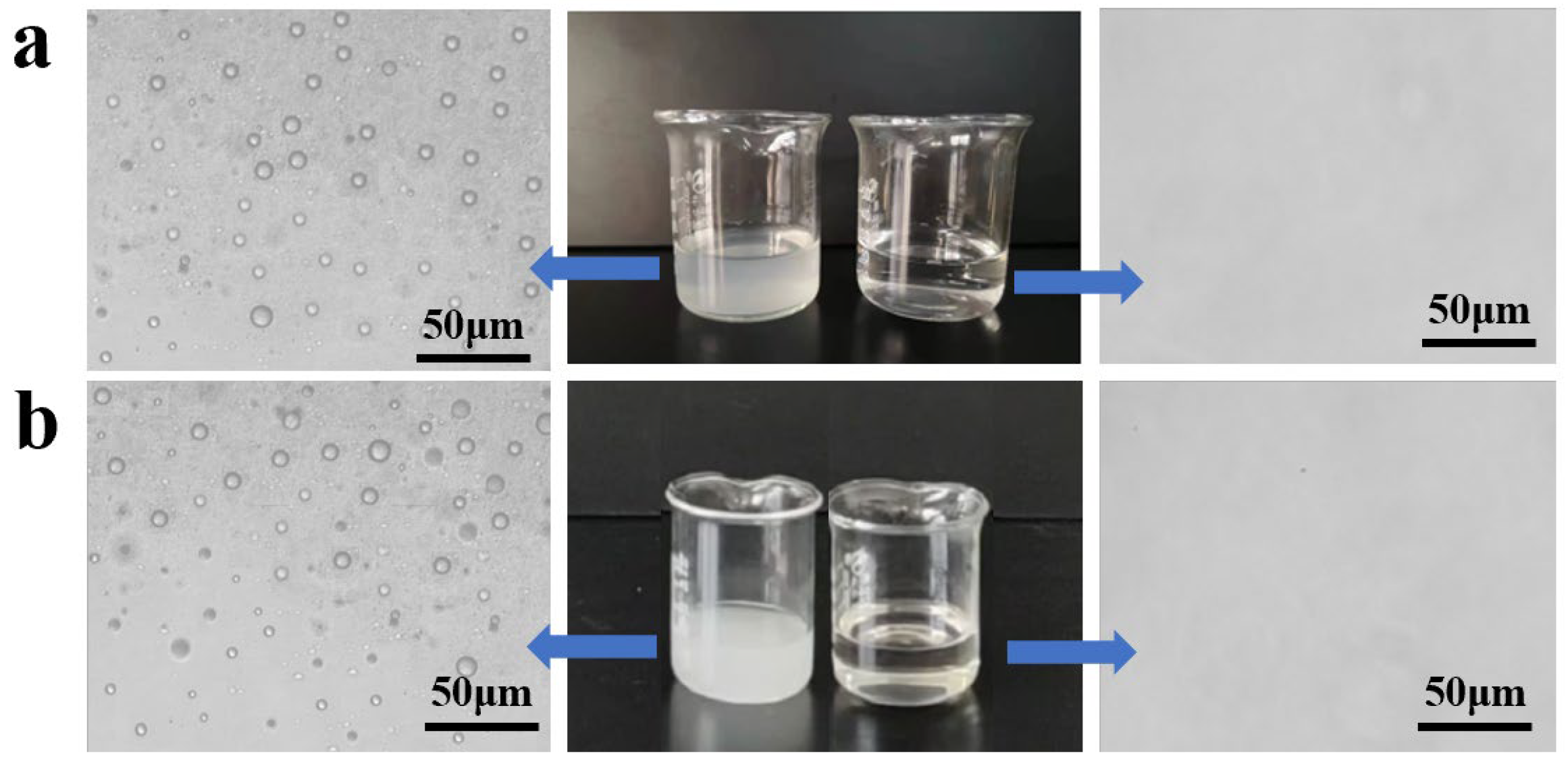 Nanomaterials 12 03120 g008