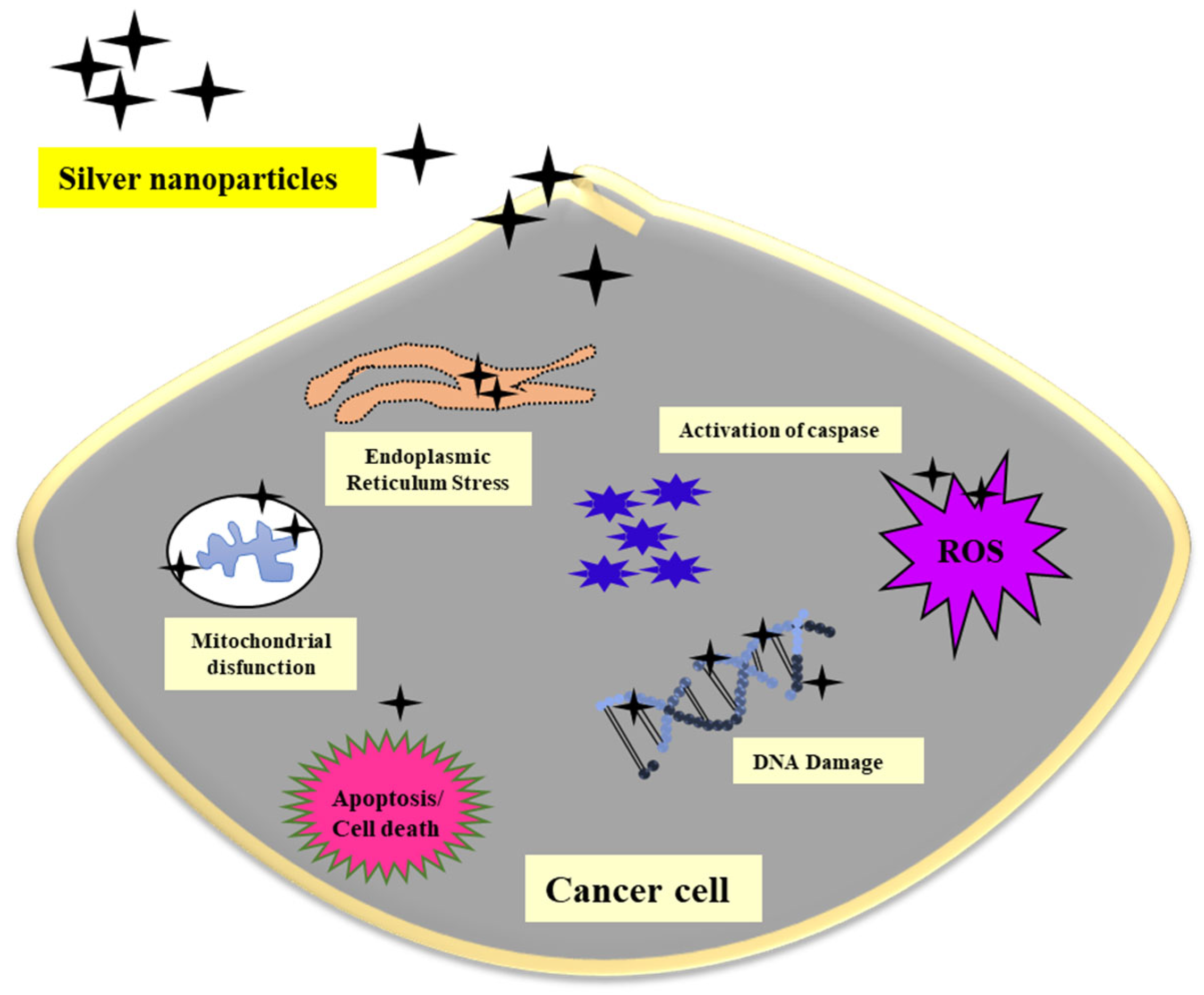 Nanomaterials 12 03126 g007
