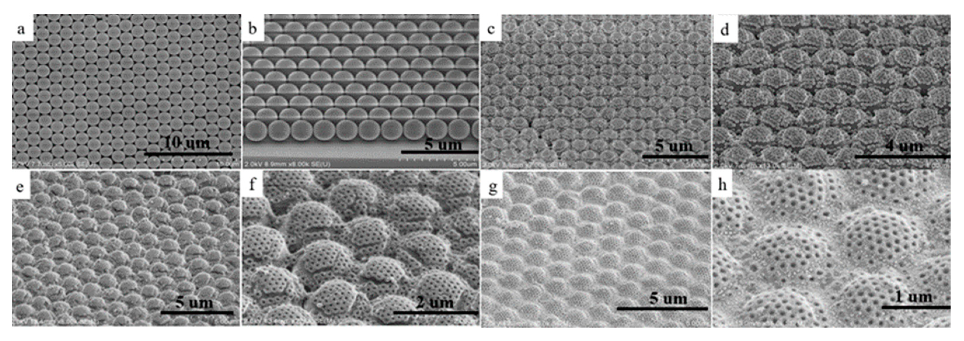 Nanomaterials 12 03127 g001 550