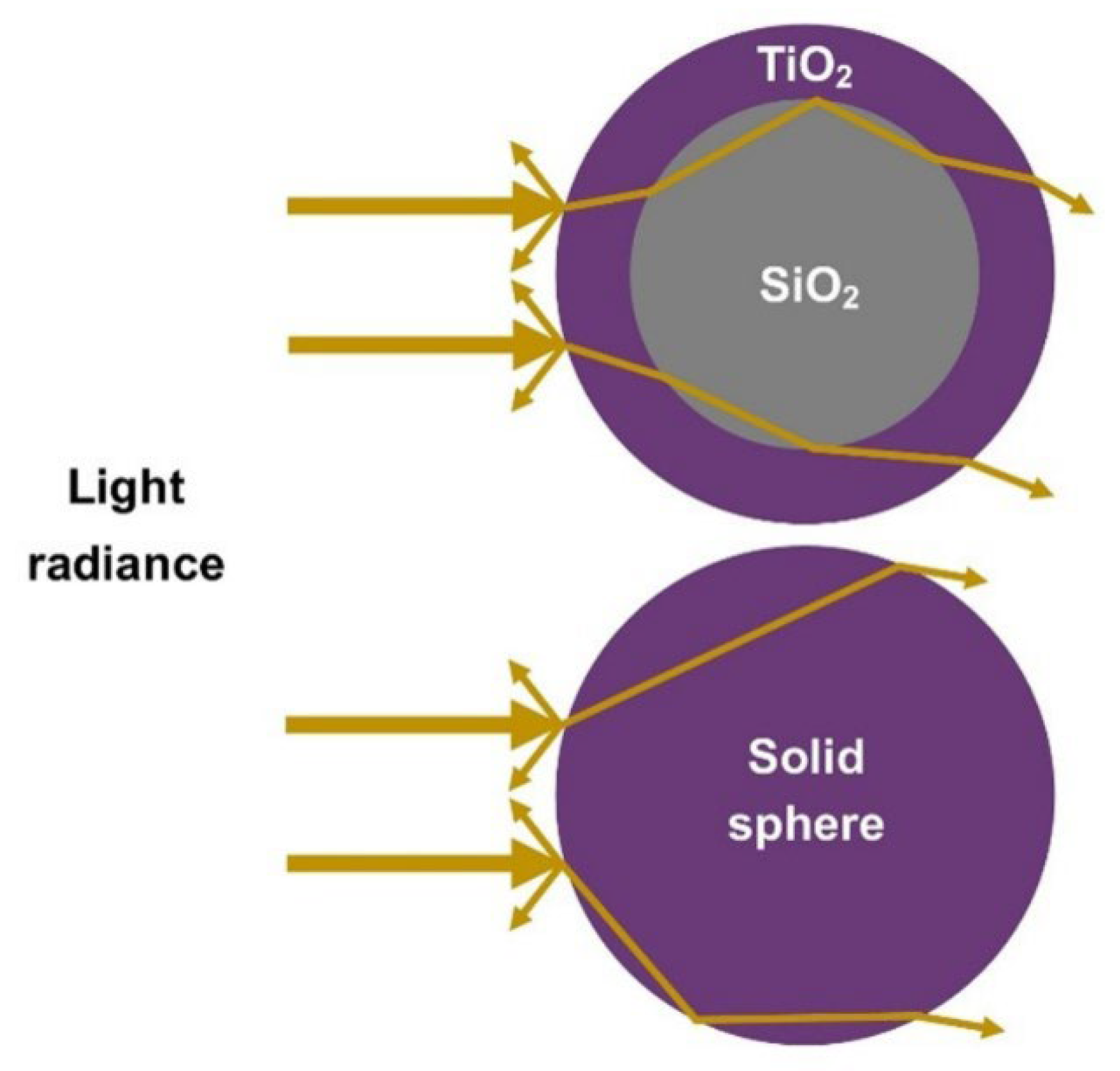 Nanomaterials 12 03128 g012