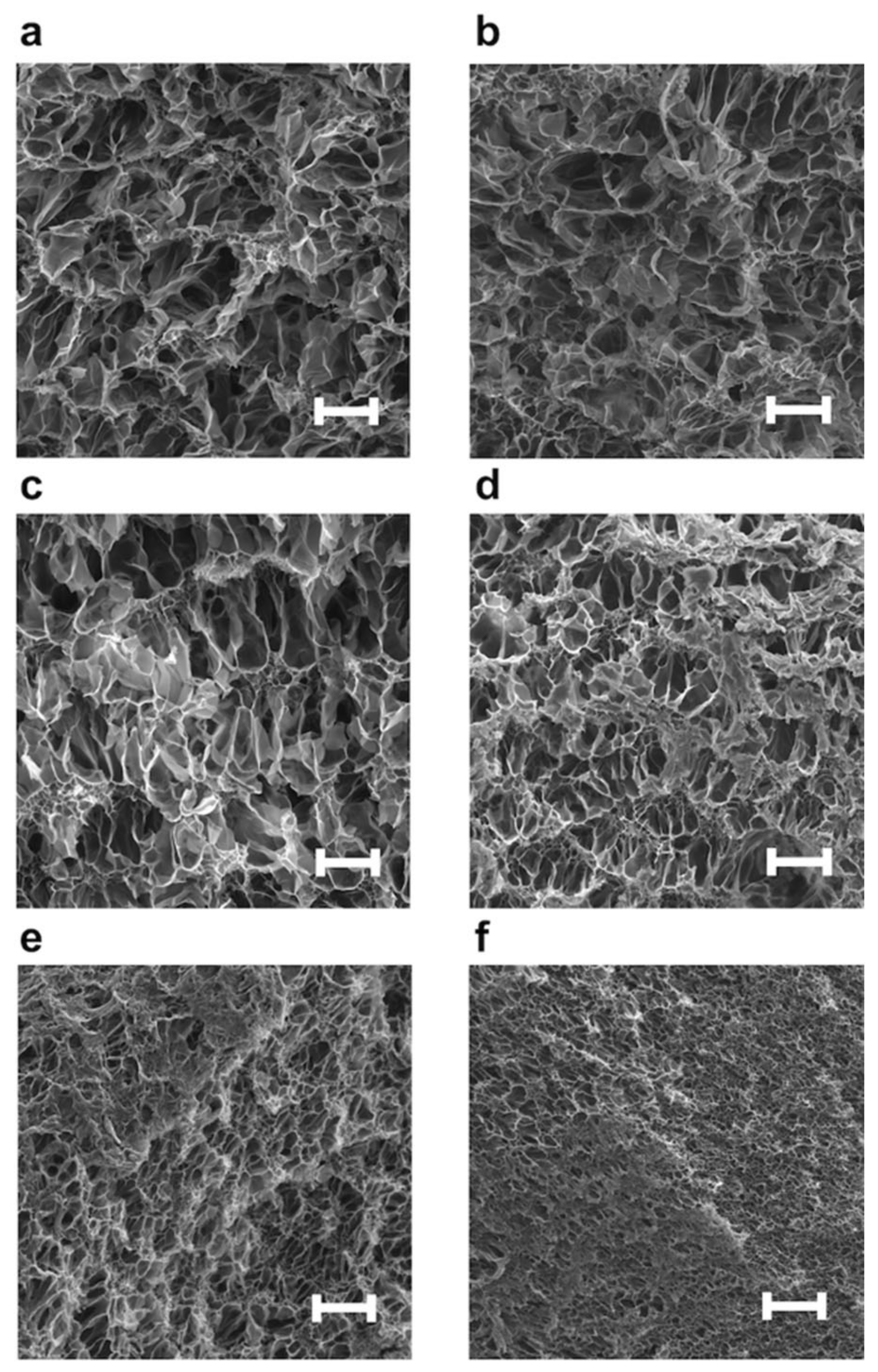 Nanomaterials 12 03129 g006