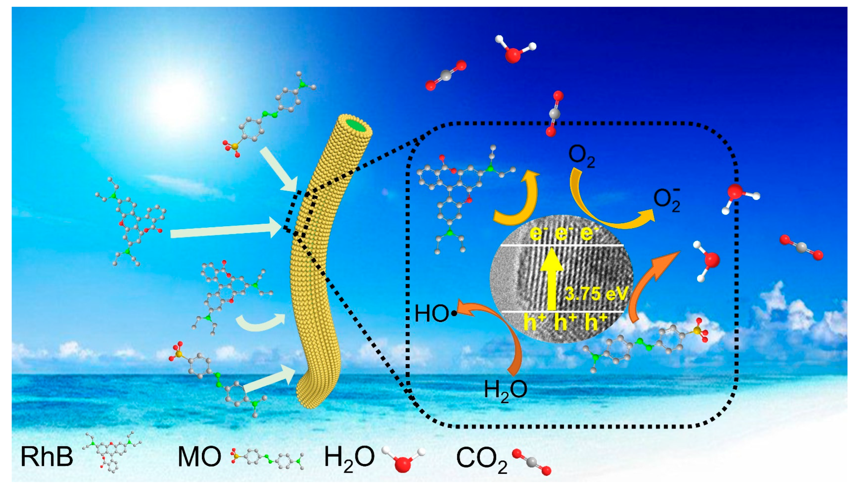 Natural Cotton Cellulose-Supported TiO2 Quantum Dots for the