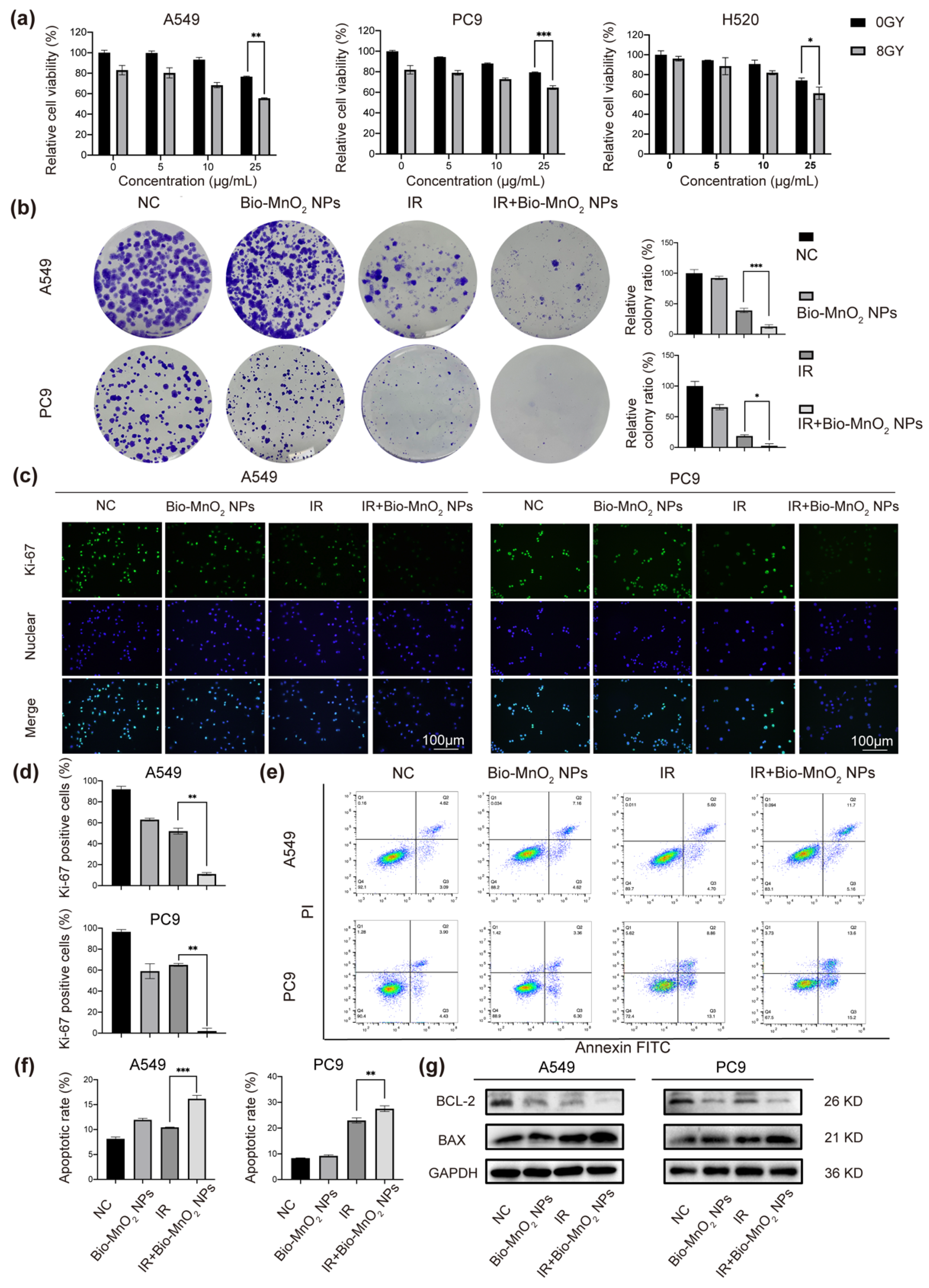 Nanomaterials 12 03138 g003
