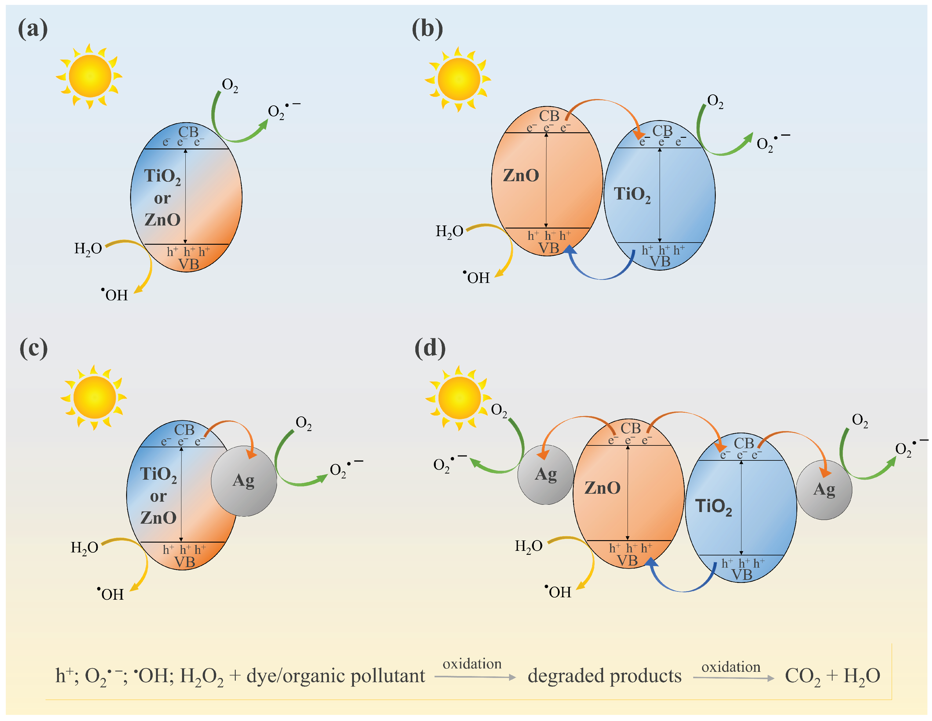 Nanomaterials 12 03140 g010 550
