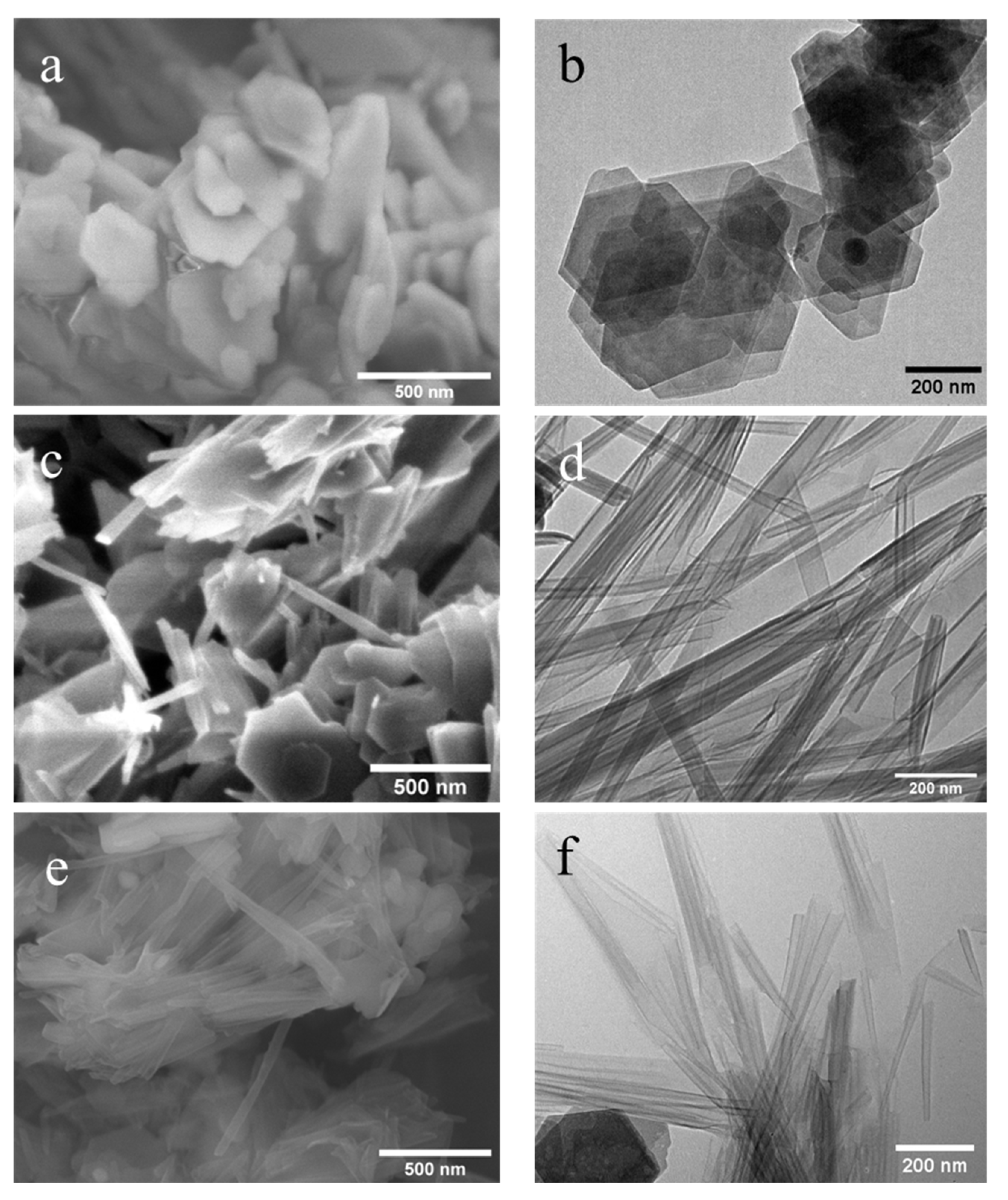 Nanomaterials 12 03141 g007 550