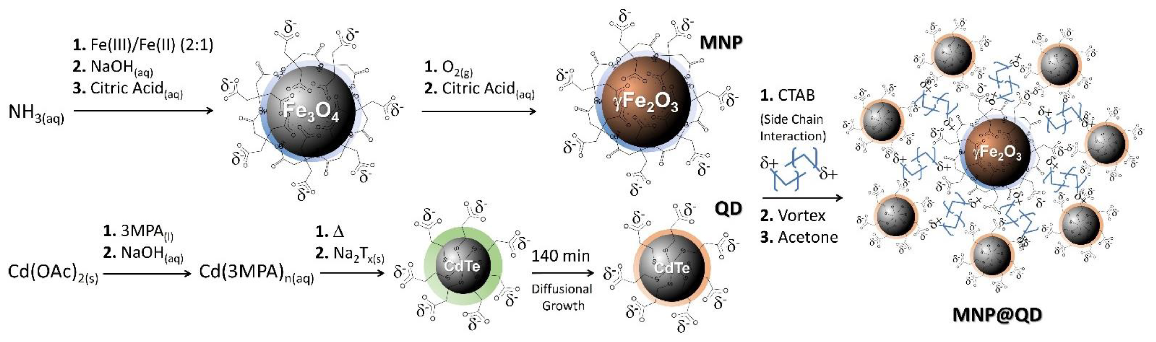 Nanomaterials 12 03145 g001