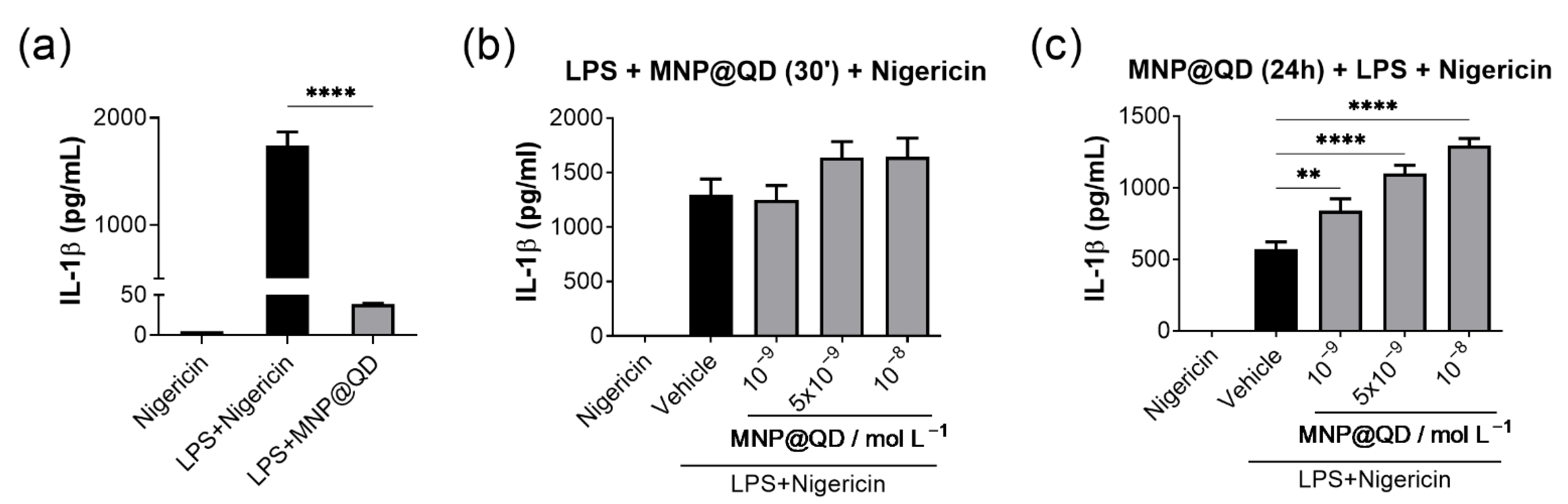 Nanomaterials 12 03145 g006