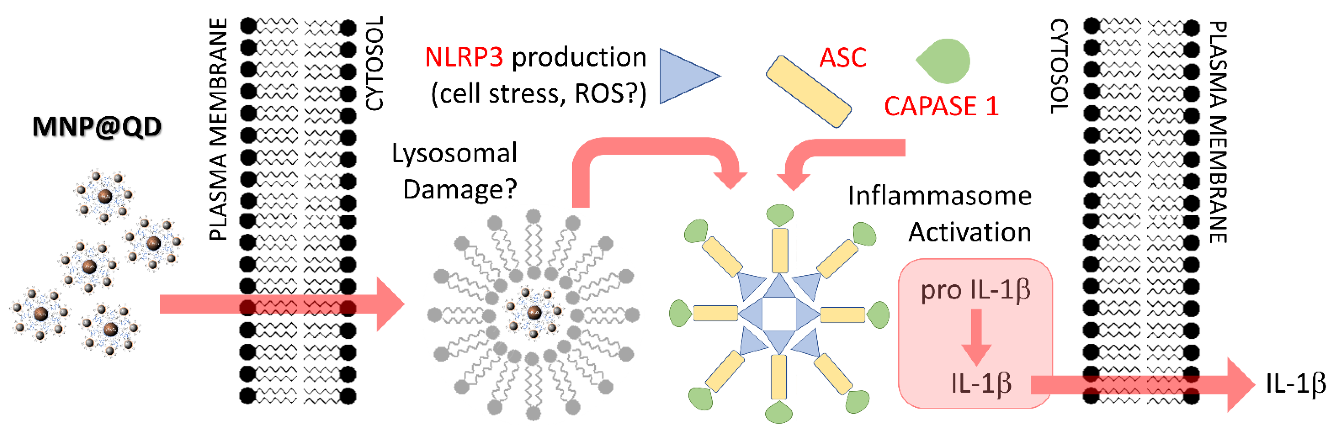 Nanomaterials 12 03145 sch001