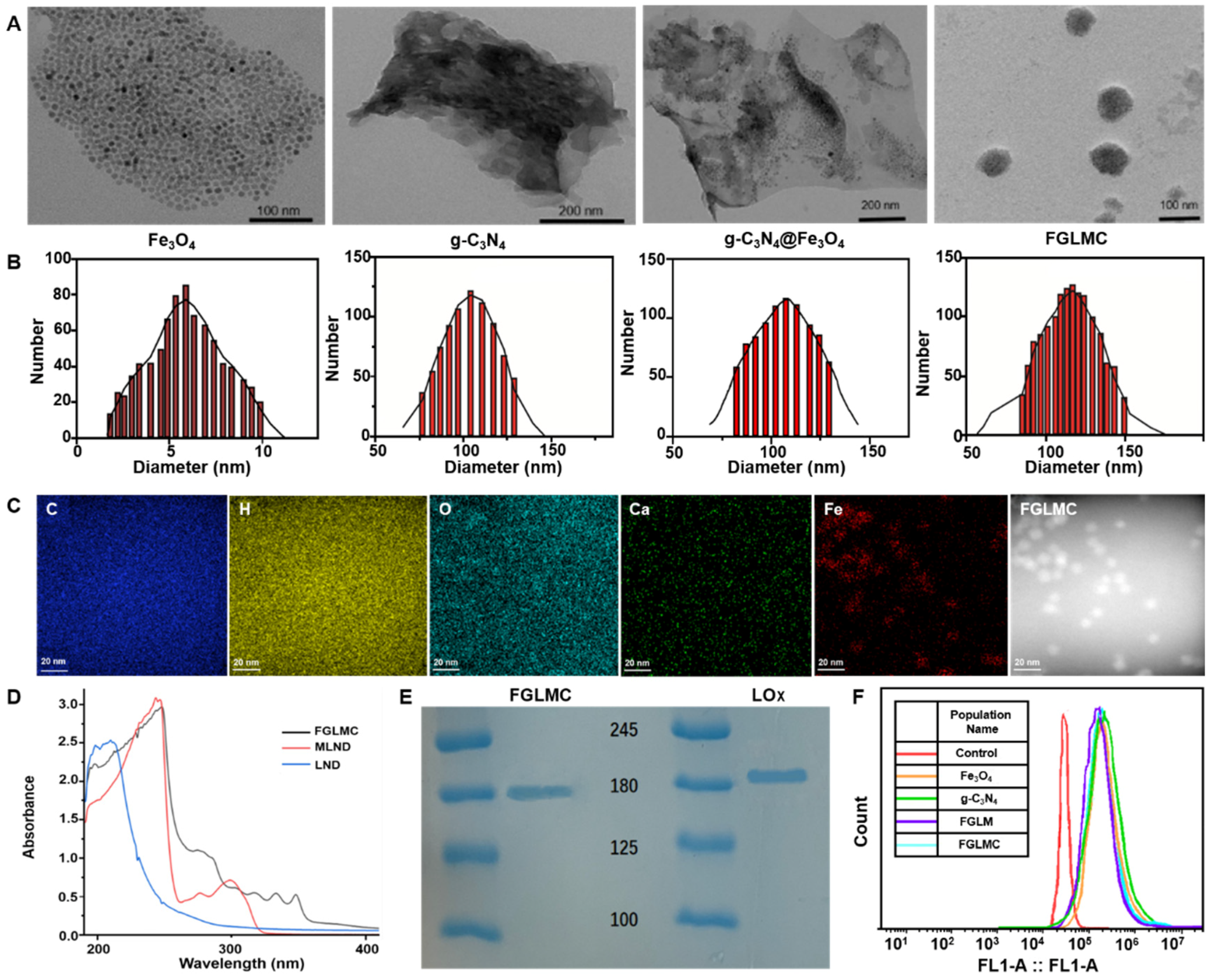 Nanomaterials 12 03150 g001