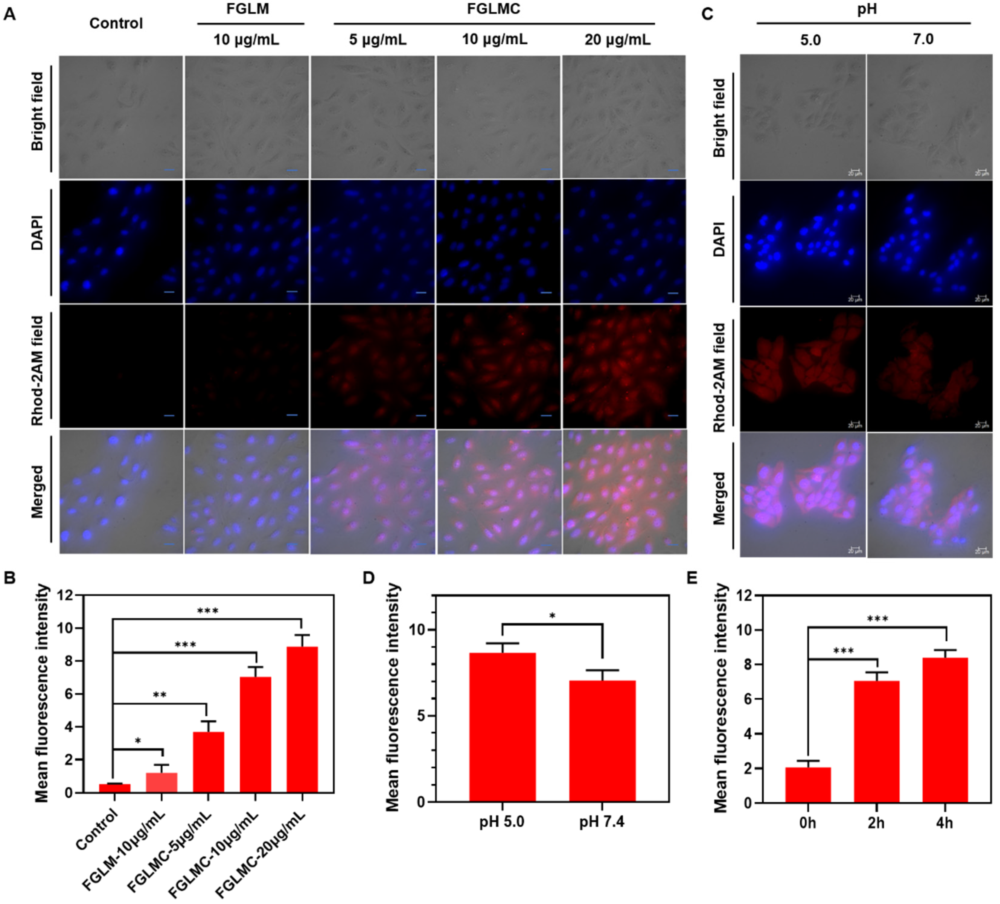 Nanomaterials 12 03150 g002