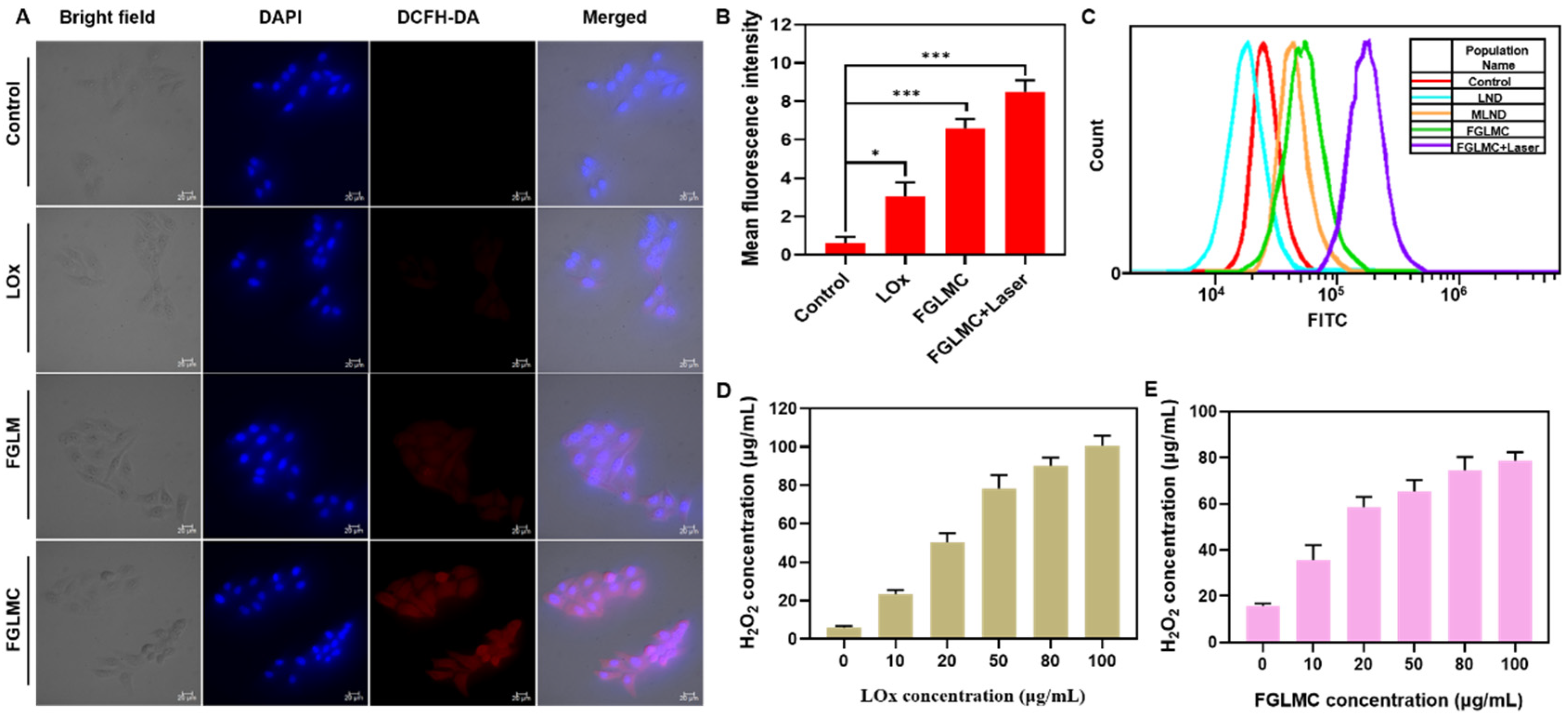 Nanomaterials 12 03150 g003