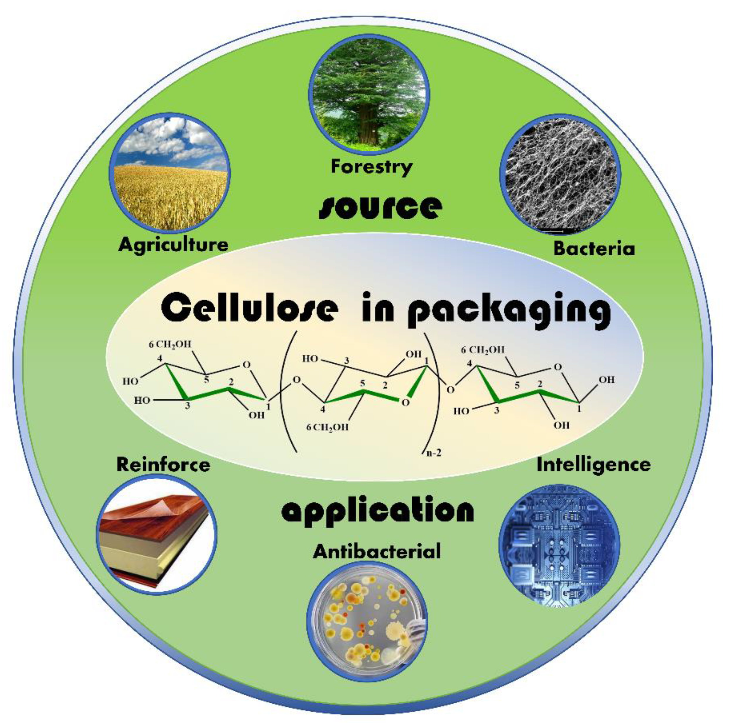 Nanomaterials 12 03158 g001