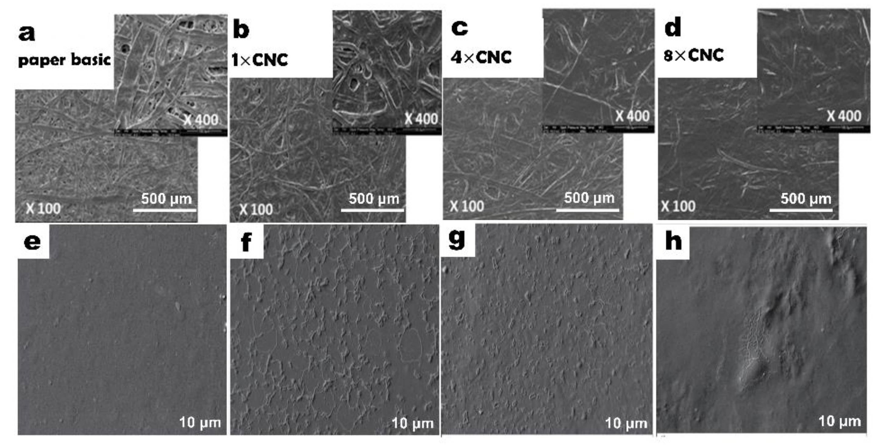 Nanomaterials 12 03158 g004