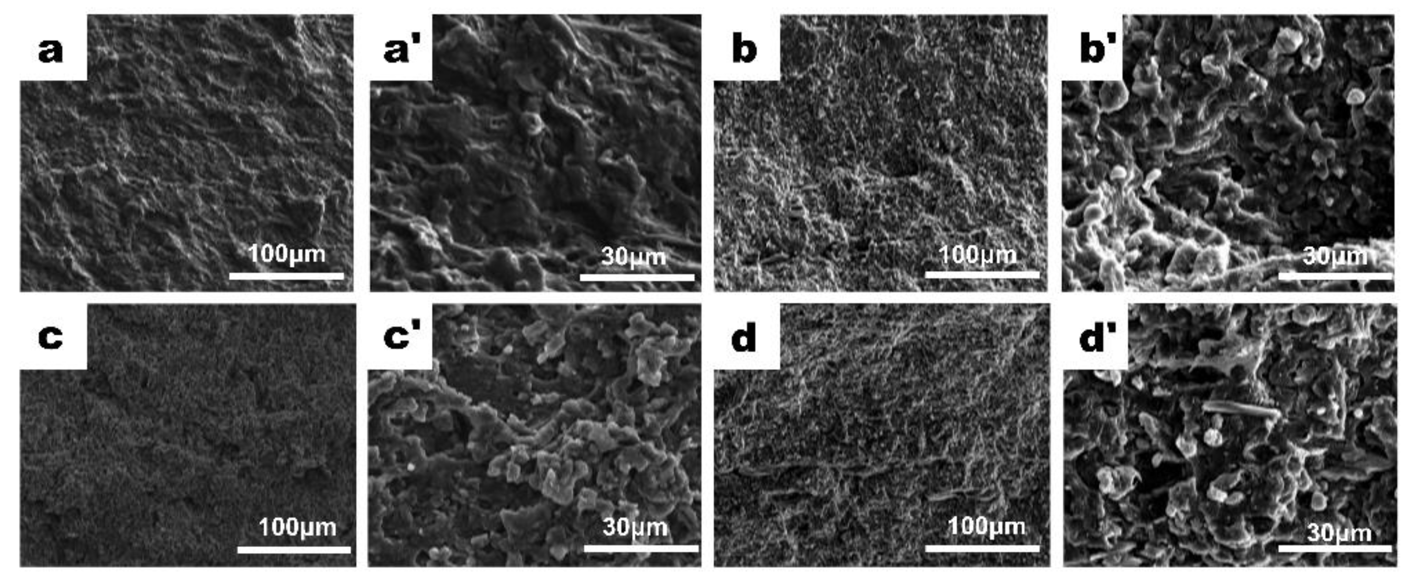 Nanomaterials 12 03158 g006