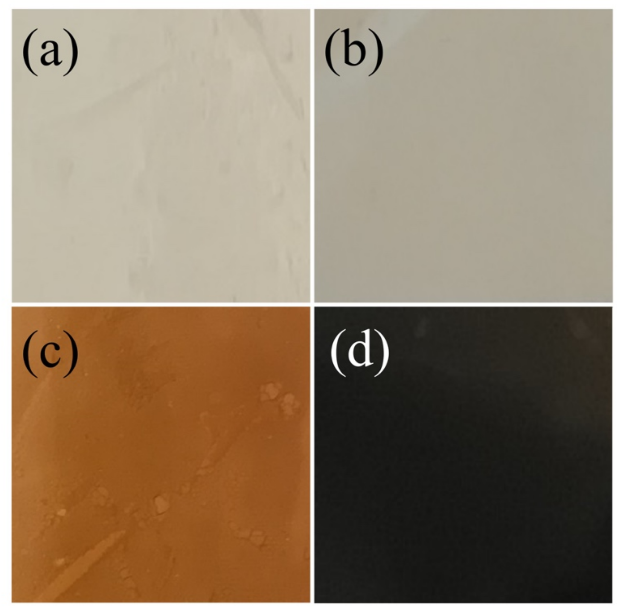 Nanomaterials 12 03180 g002