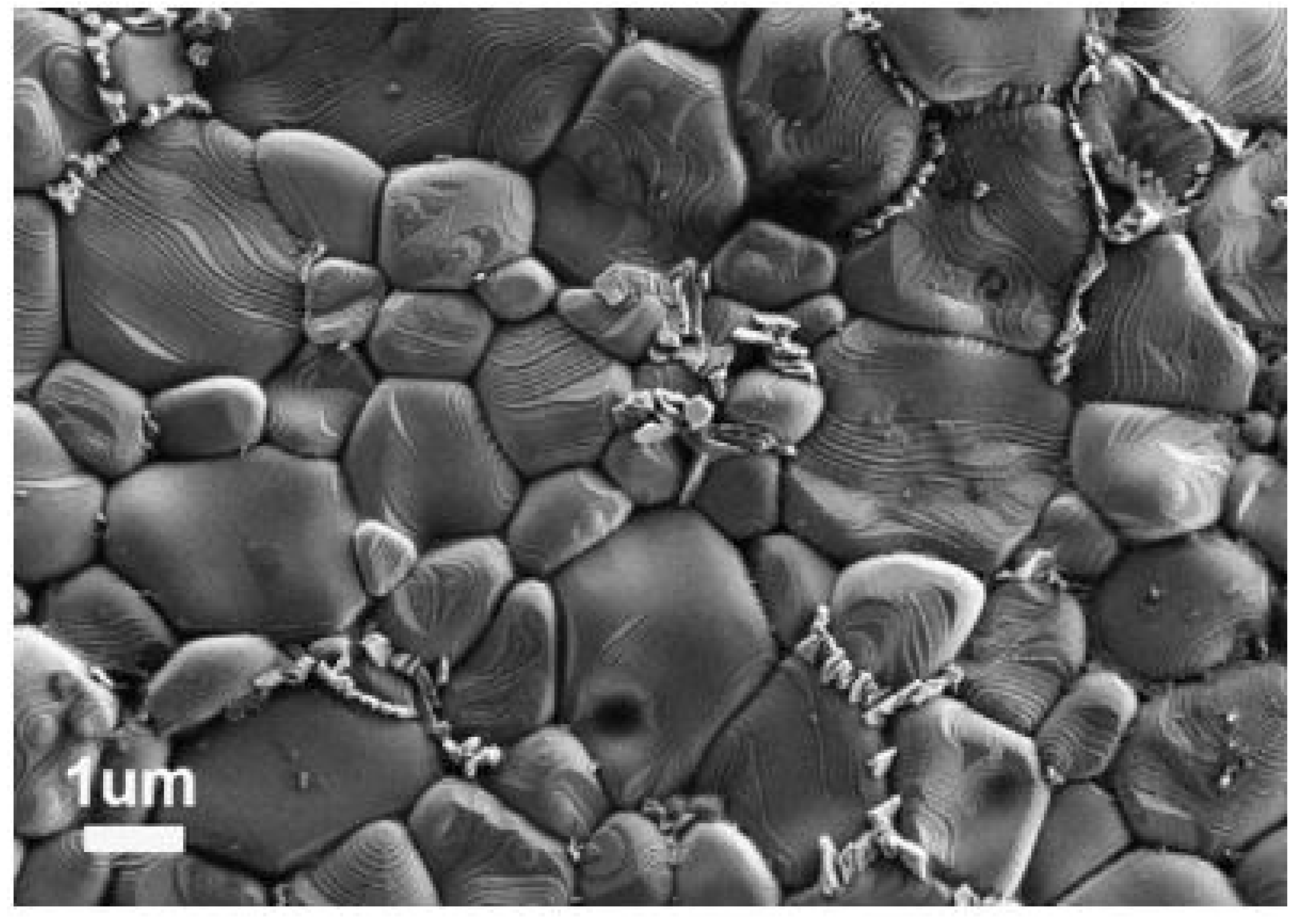 Nanomaterials 12 03181 g012