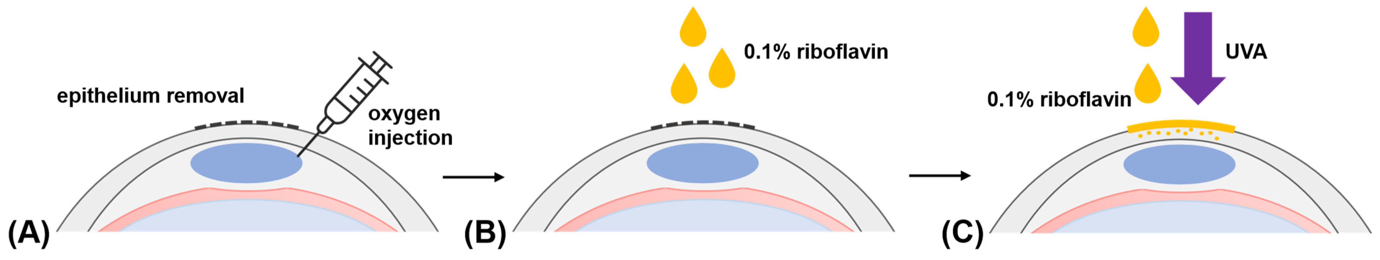 Nanomaterials 12 03185 g001