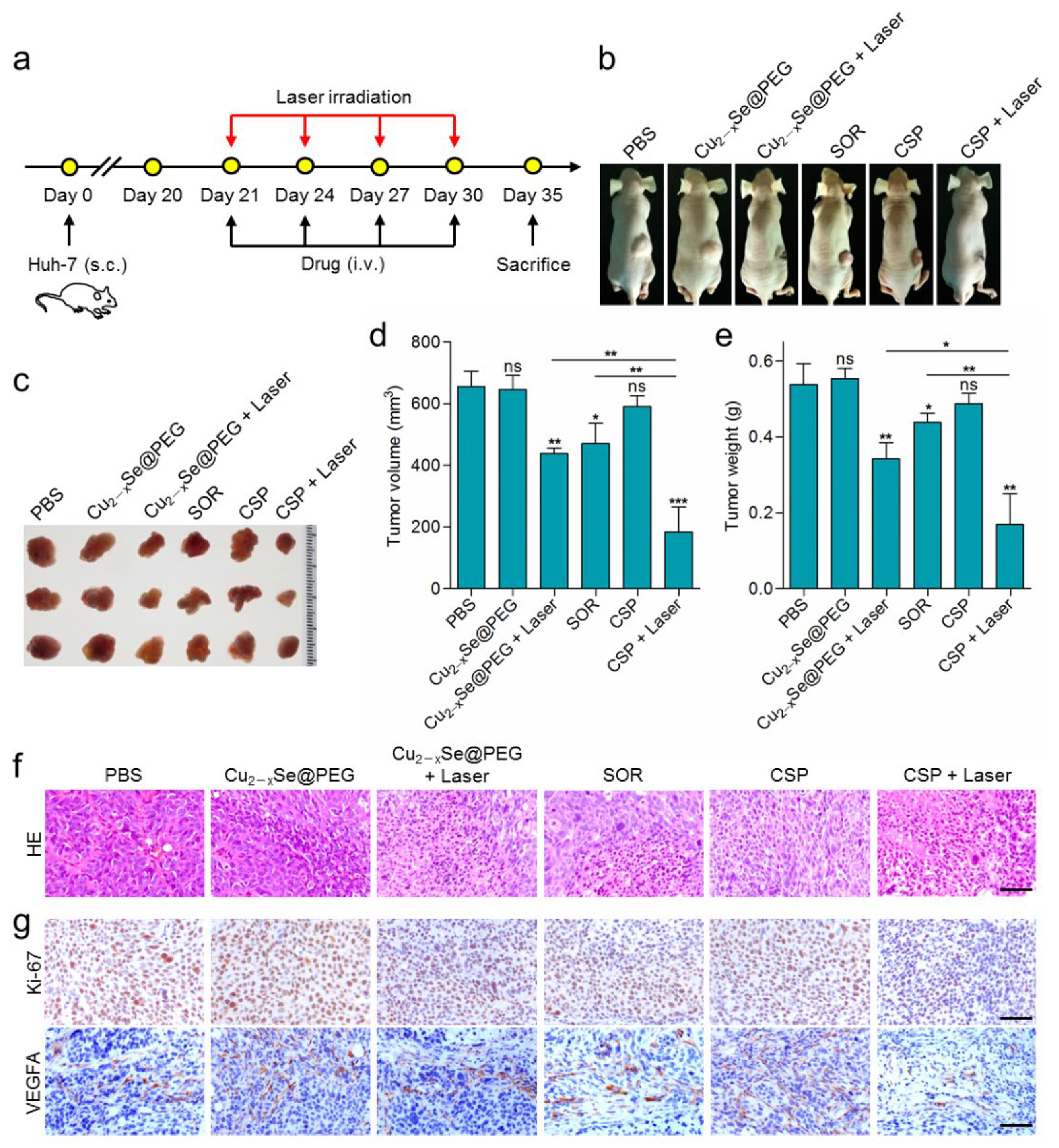 Nanomaterials 12 03191 g006 550