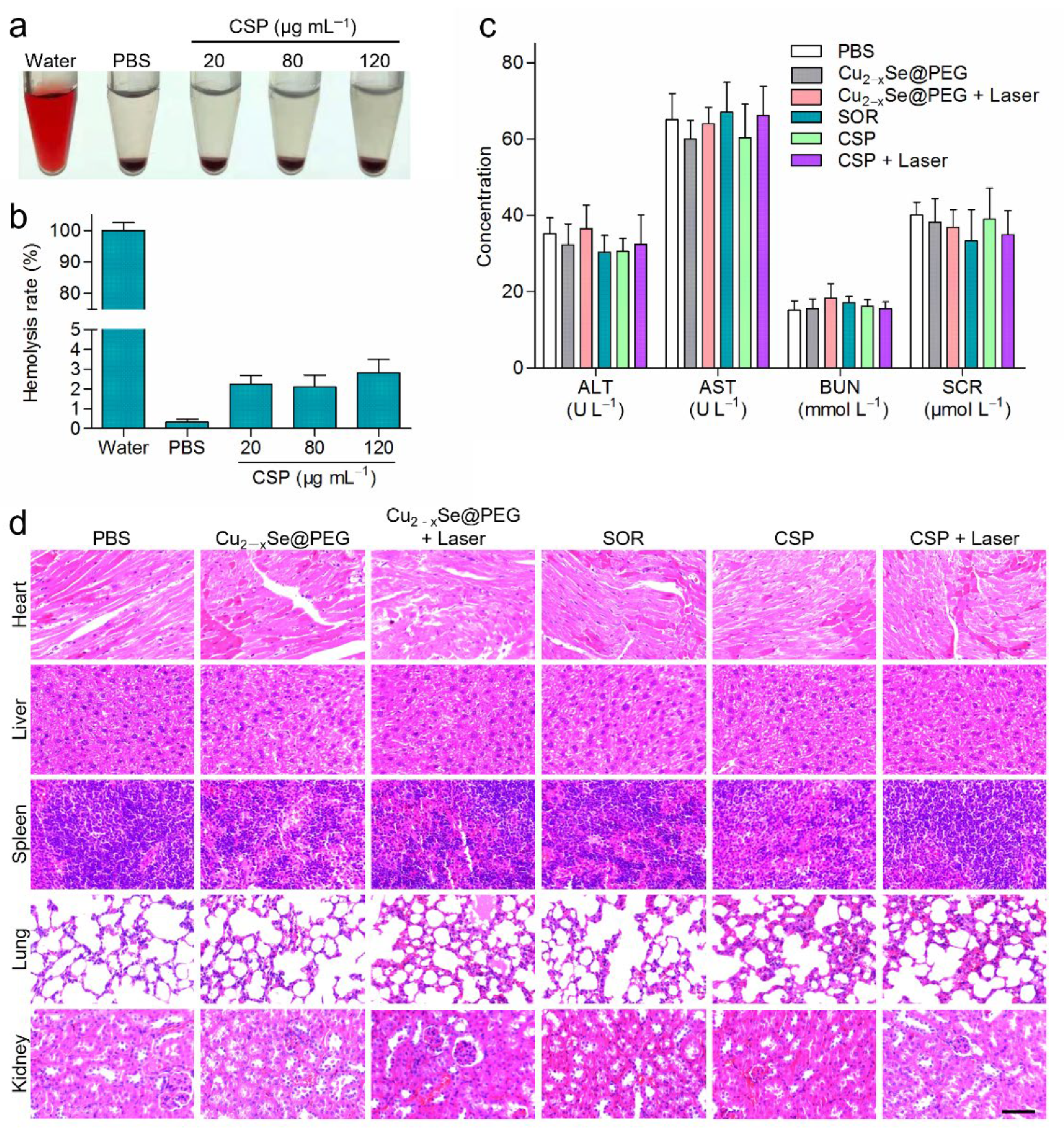 Nanomaterials 12 03191 g007 550