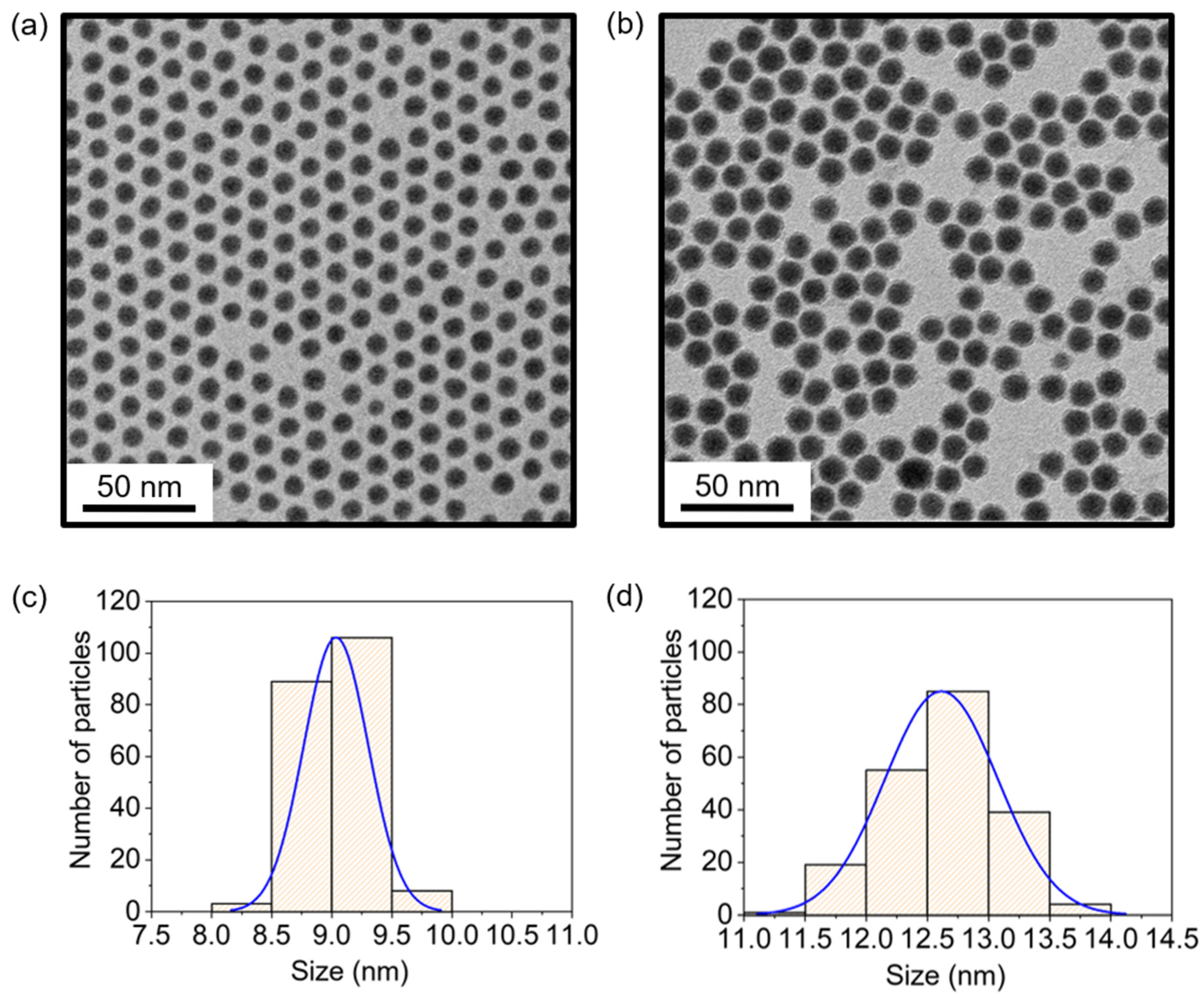 Nanomaterials 12 03198 g001 550