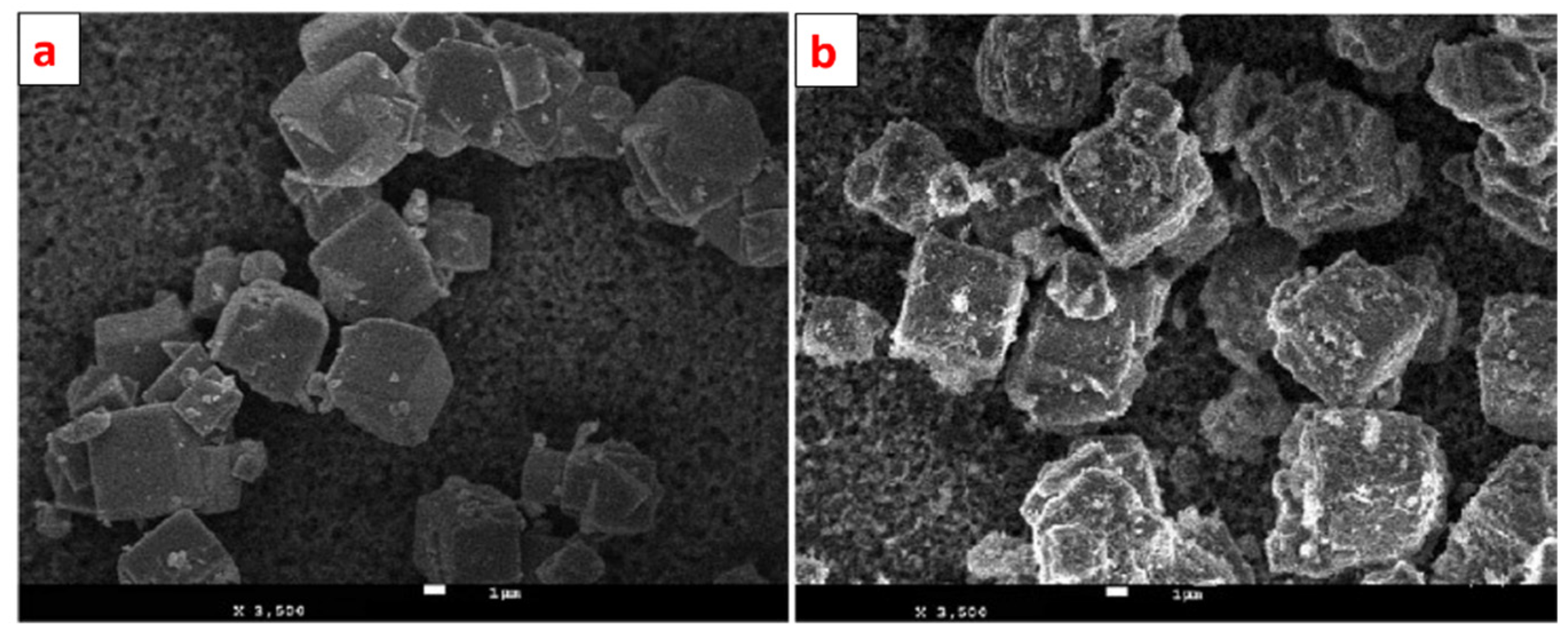 Nanomaterials 12 03199 g015